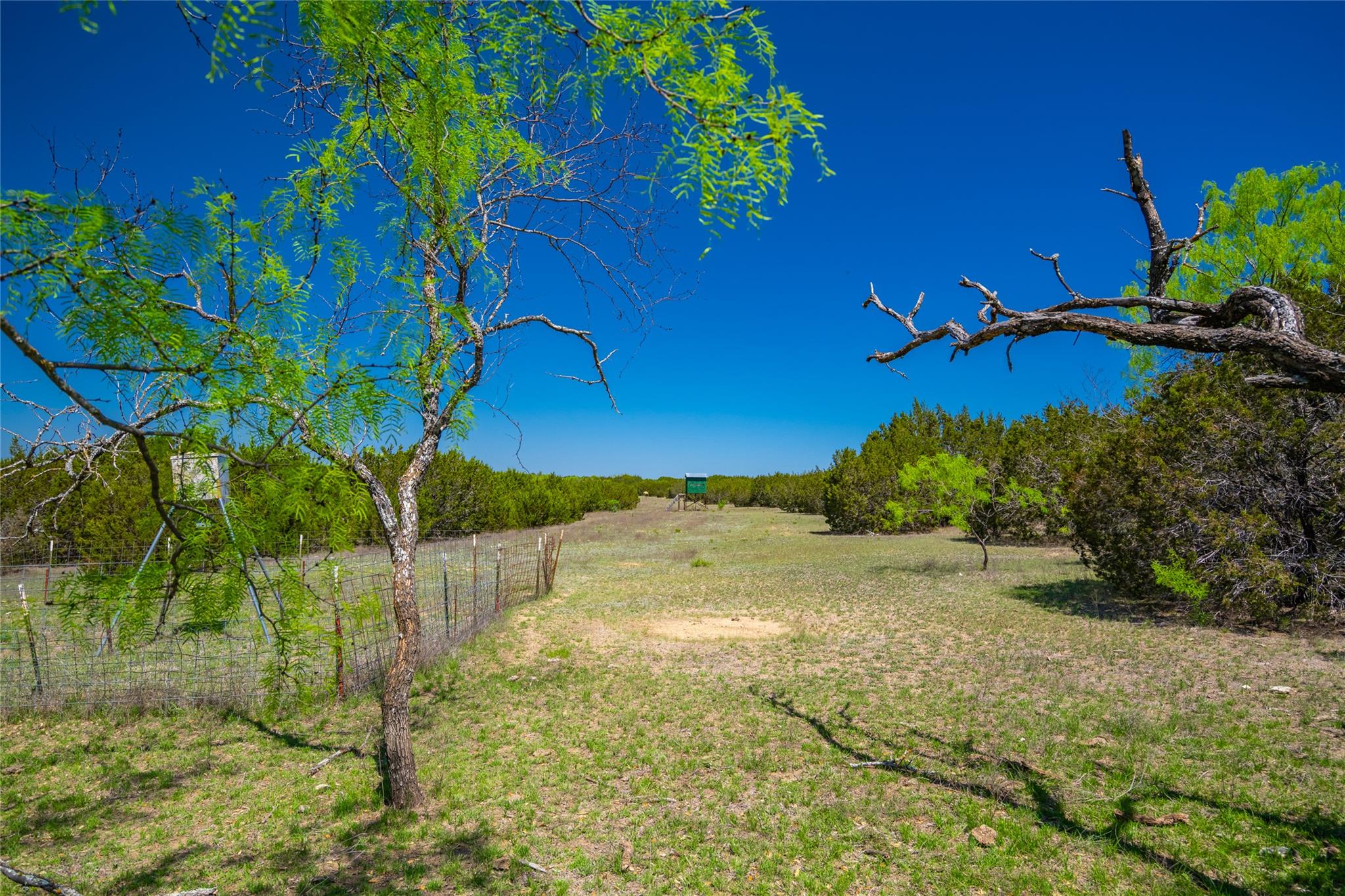 0 County Road 208 None Property Photo 10
