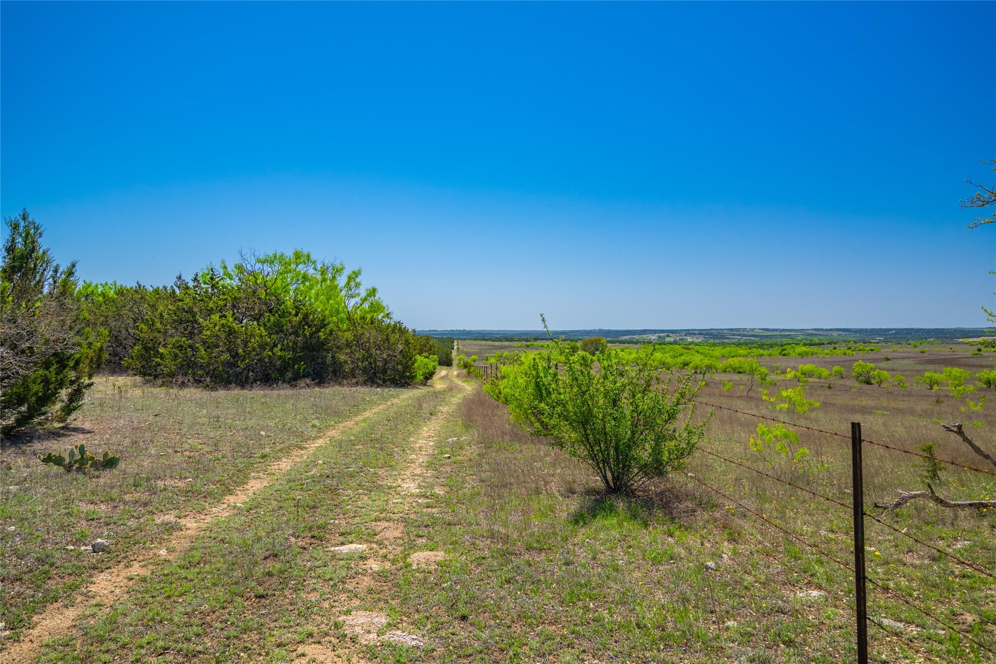 0 County Road 208 None Property Photo 11
