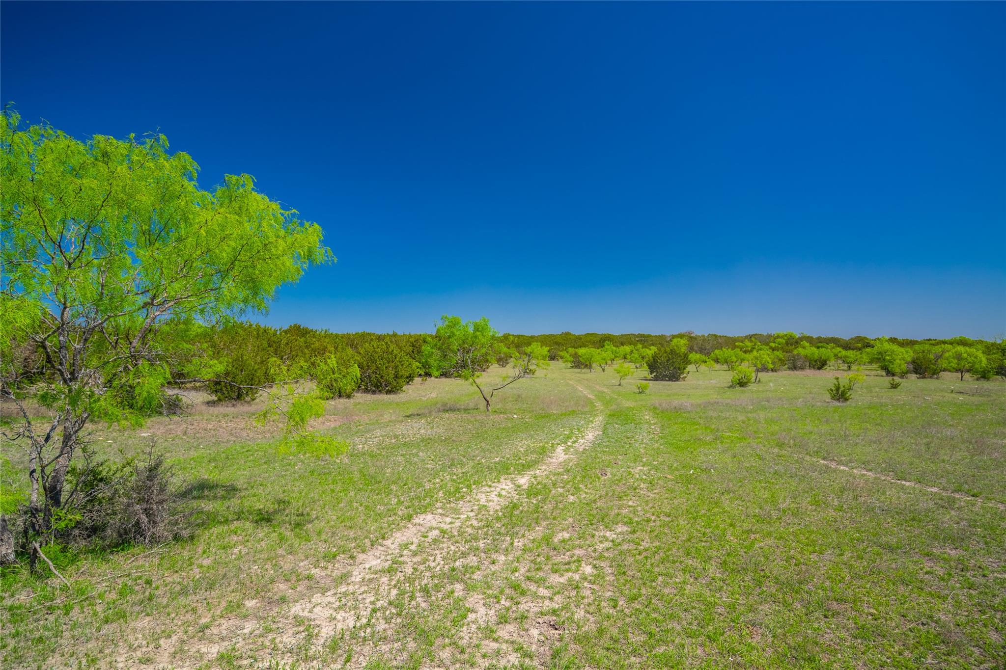 0 County Road 208 None Property Photo 12