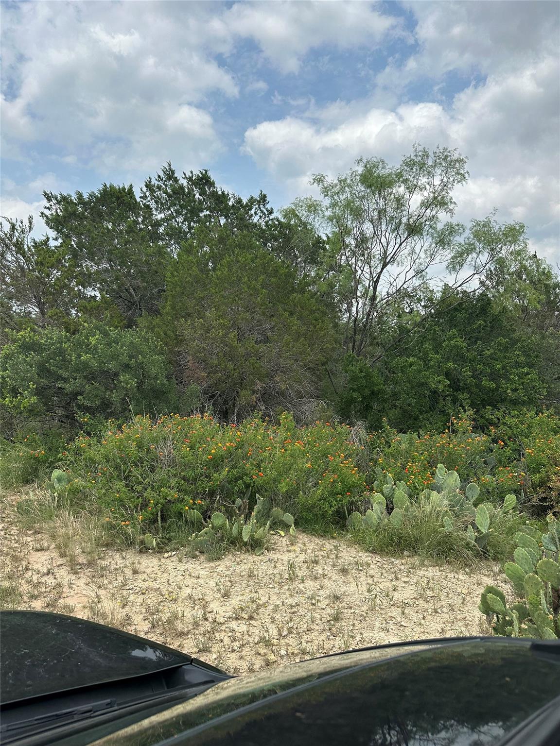 21412 Highland Lake Dr Property Photo 2