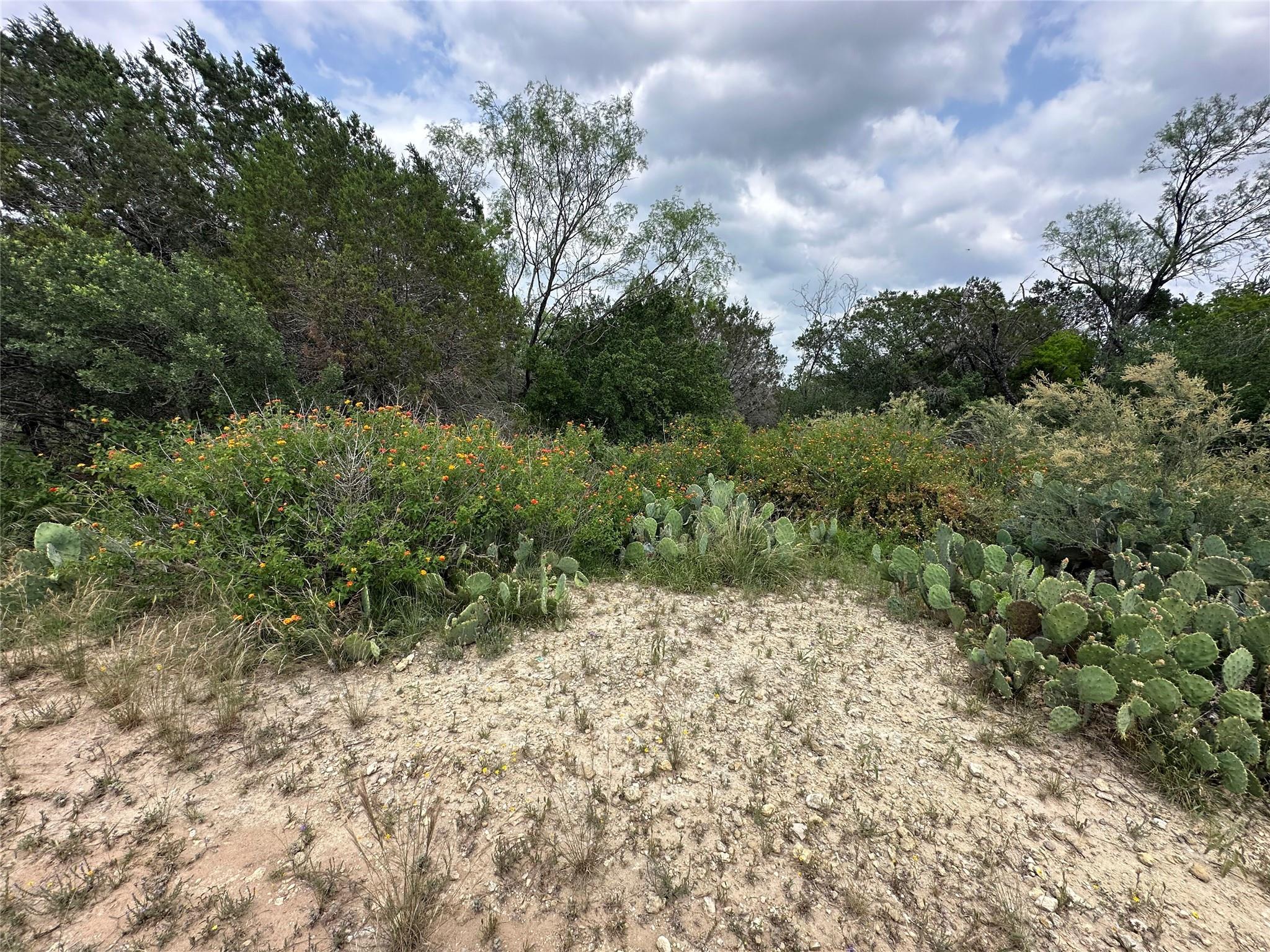 21412 Highland Lake Dr Property Photo 3