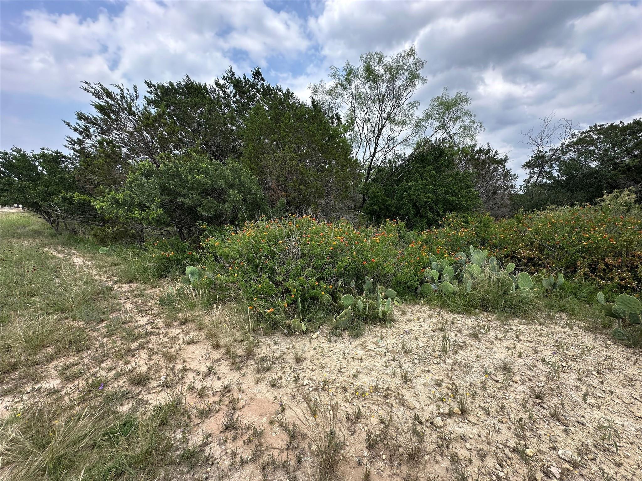 21412 Highland Lake Dr Property Photo 4