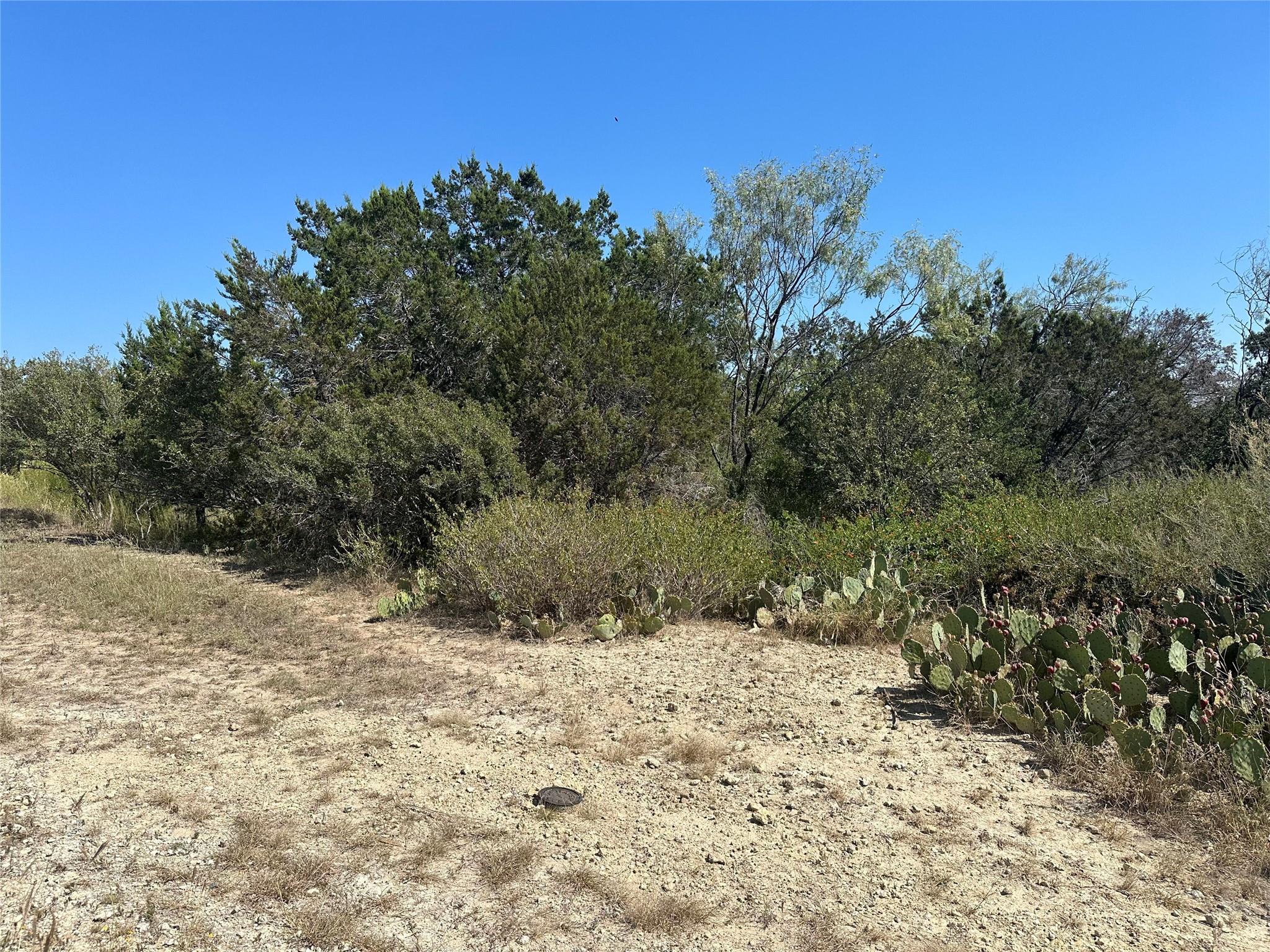 21412 Highland Lake Dr Property Photo 17