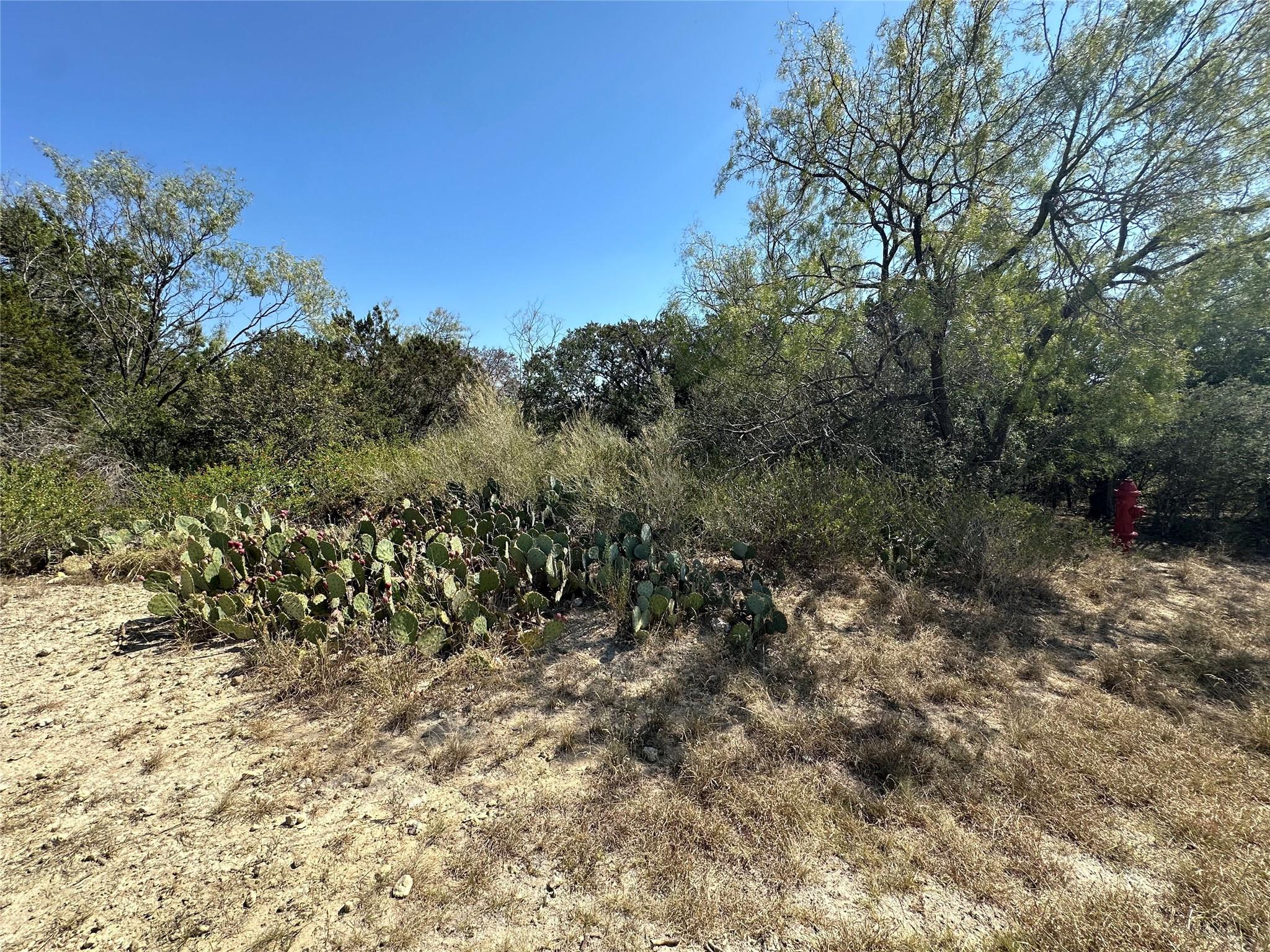 21412 Highland Lake Dr Property Photo 22