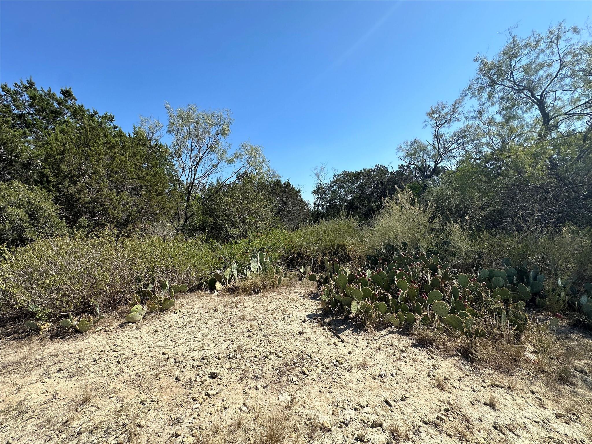 21412 Highland Lake Dr Property Photo 23