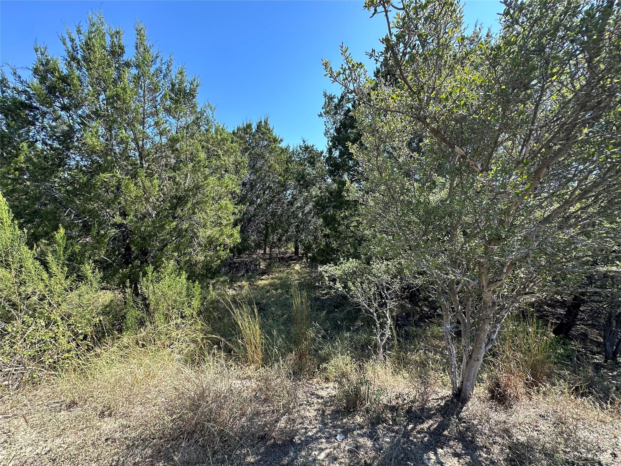 21412 Highland Lake Dr Property Photo 30