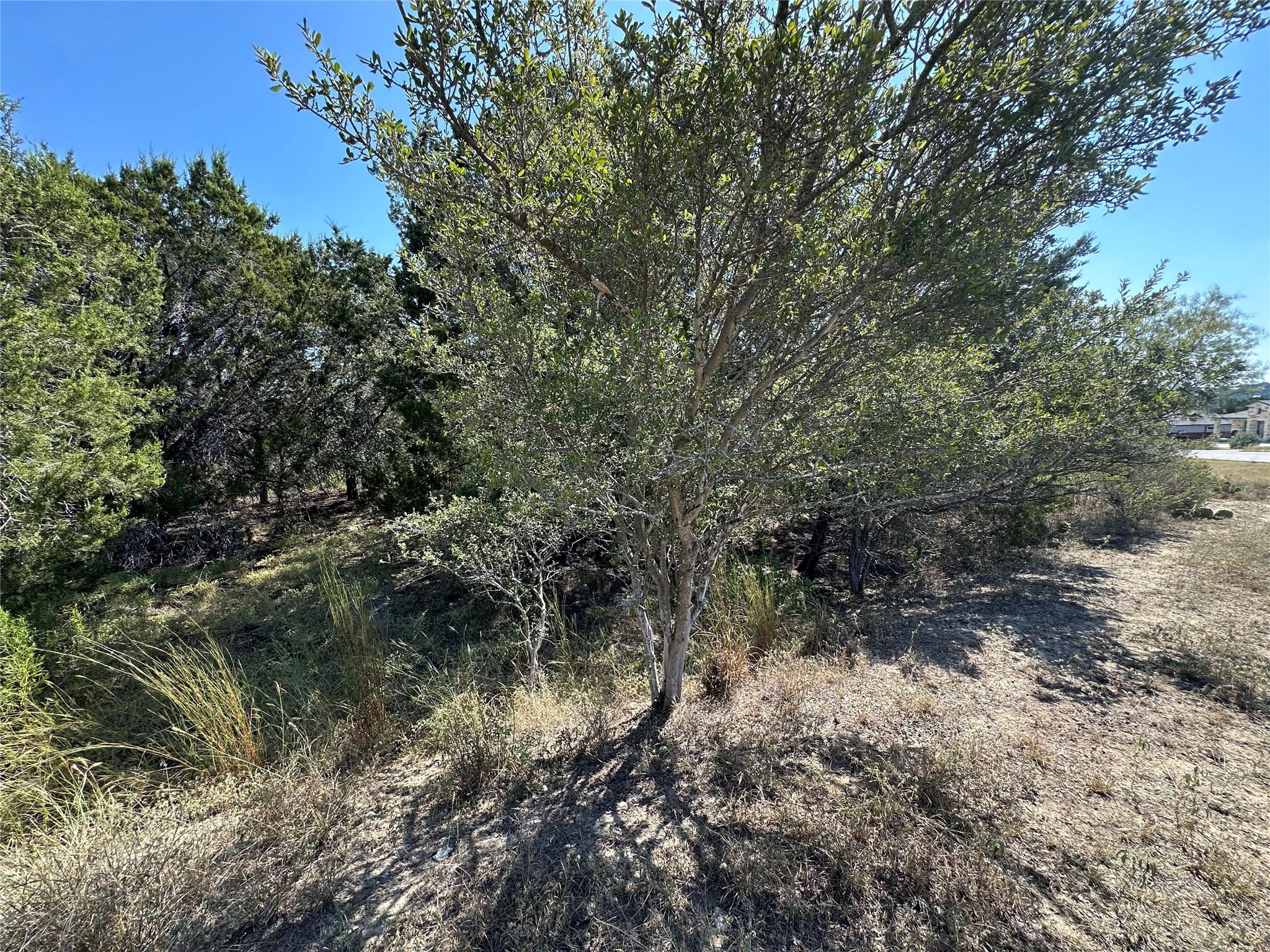 21412 Highland Lake Dr Property Photo 31