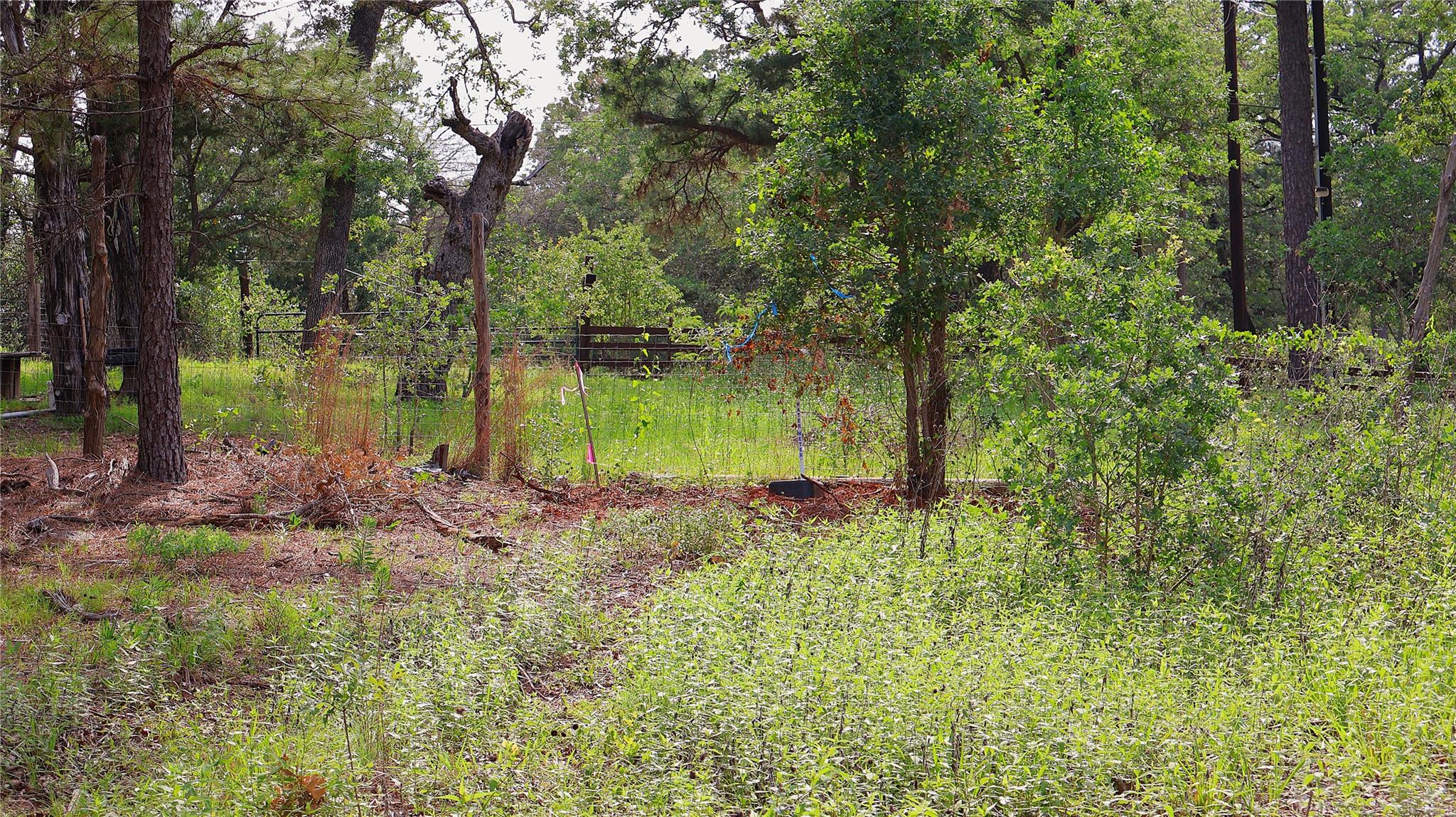 200 Cheyenne Dr Property Photo 6