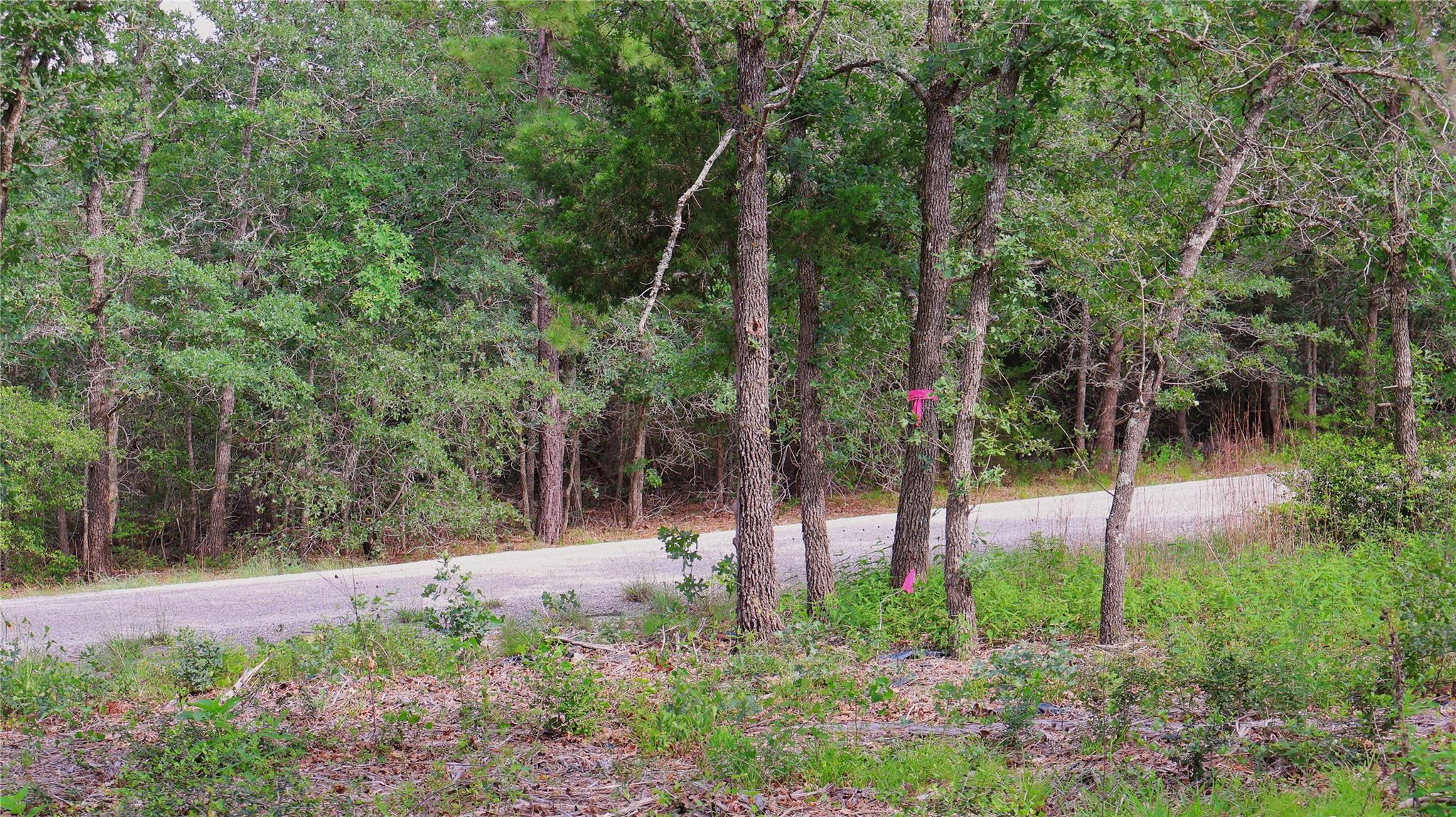 200 Cheyenne Dr Property Photo 16