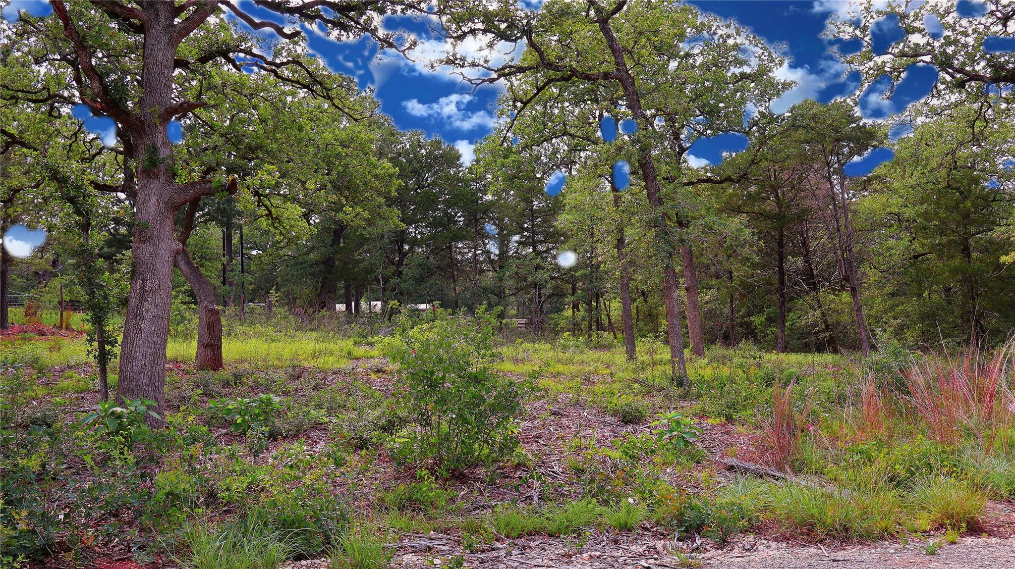 200 Cheyenne Dr Property Photo 19