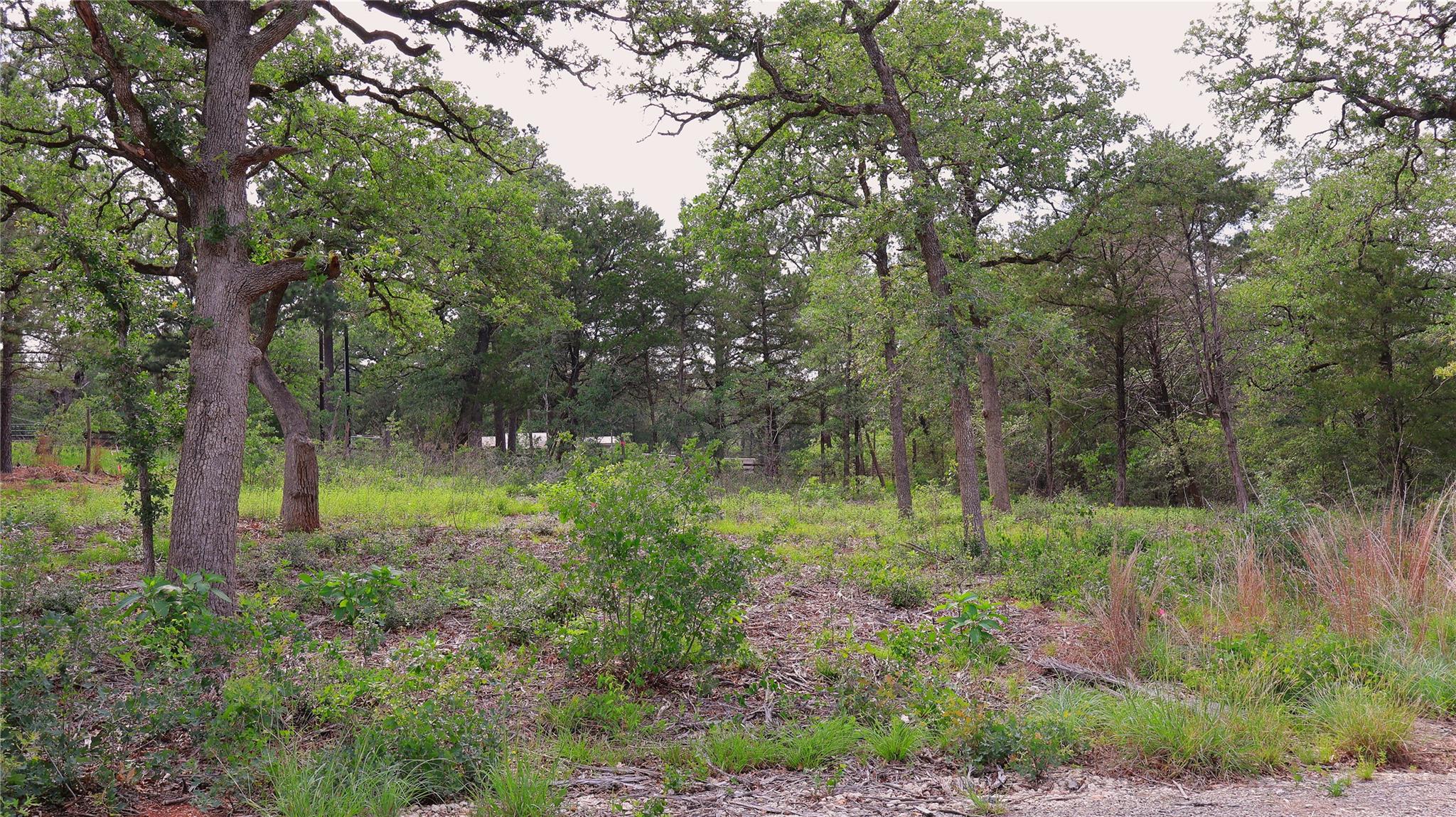 200 Cheyenne Dr Property Photo 20