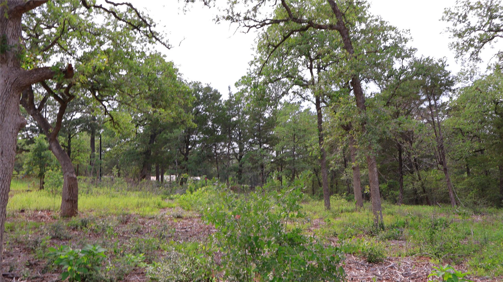 200 Cheyenne Dr Property Photo 21