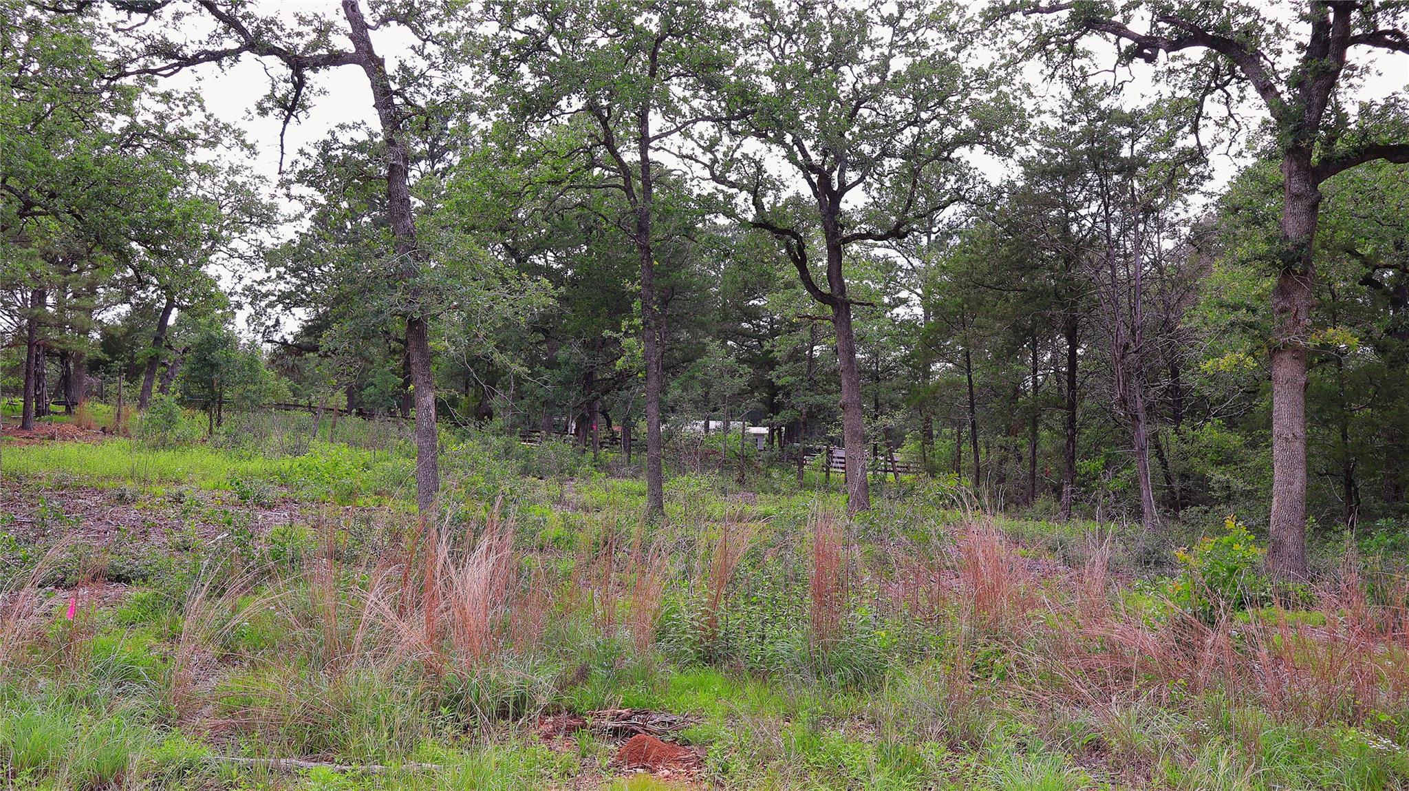 200 Cheyenne Dr Property Photo 23