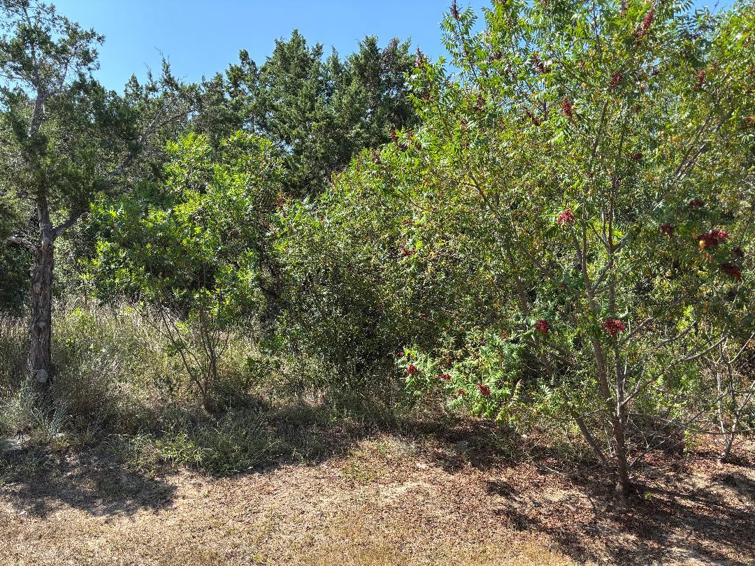 7048022 Property Photo 19