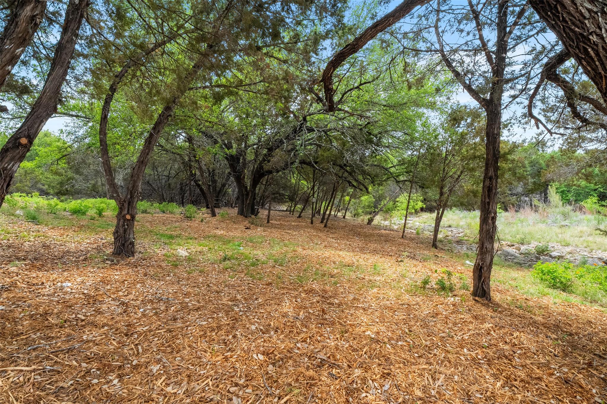 2901 Ticonderoga Cv Property Photo 4