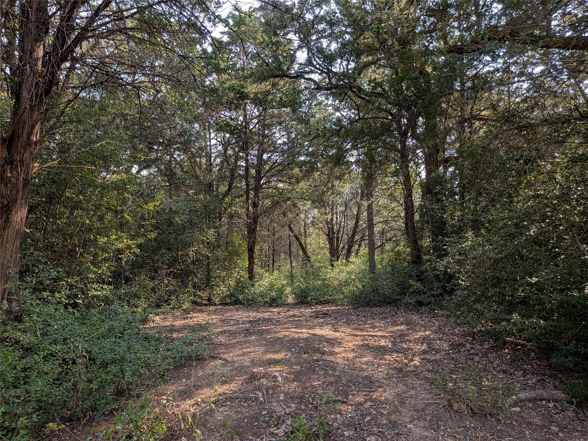 Tbd Private Road 7039 None Property Photo 5