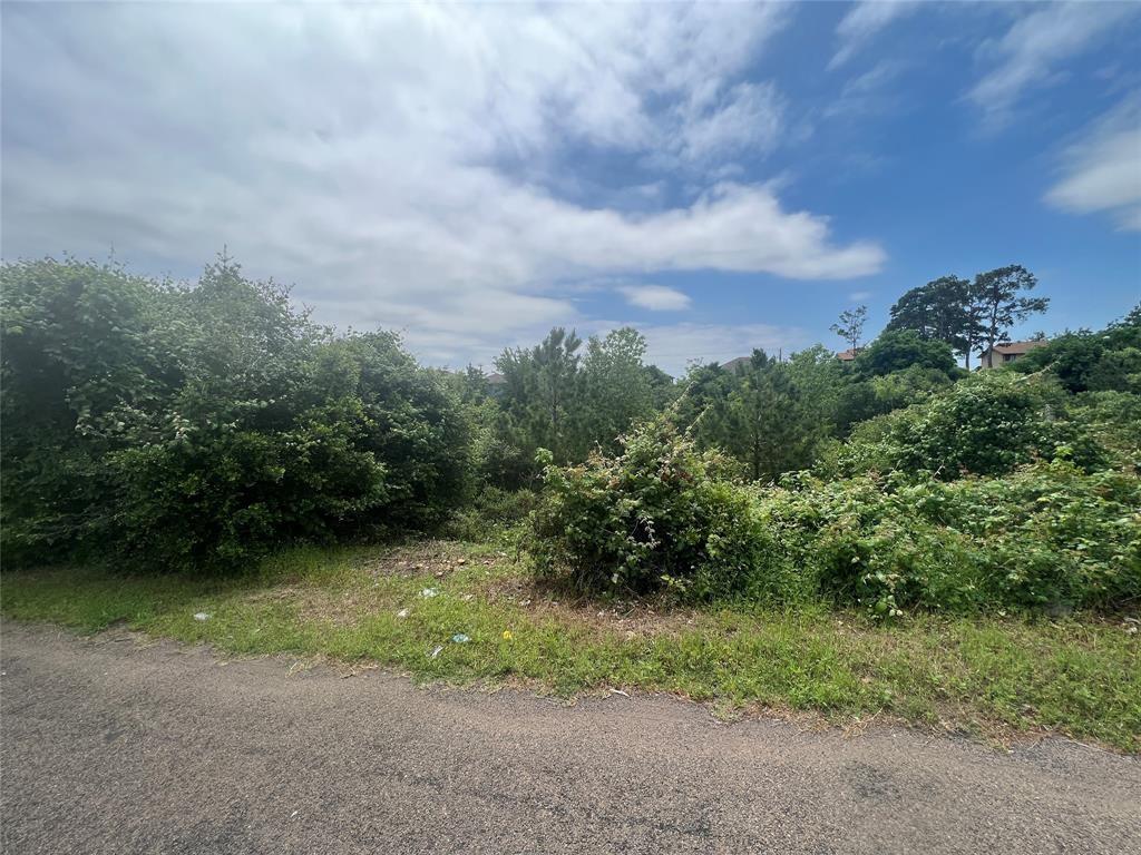 Tbdd Pahala Ct Property Photo 1