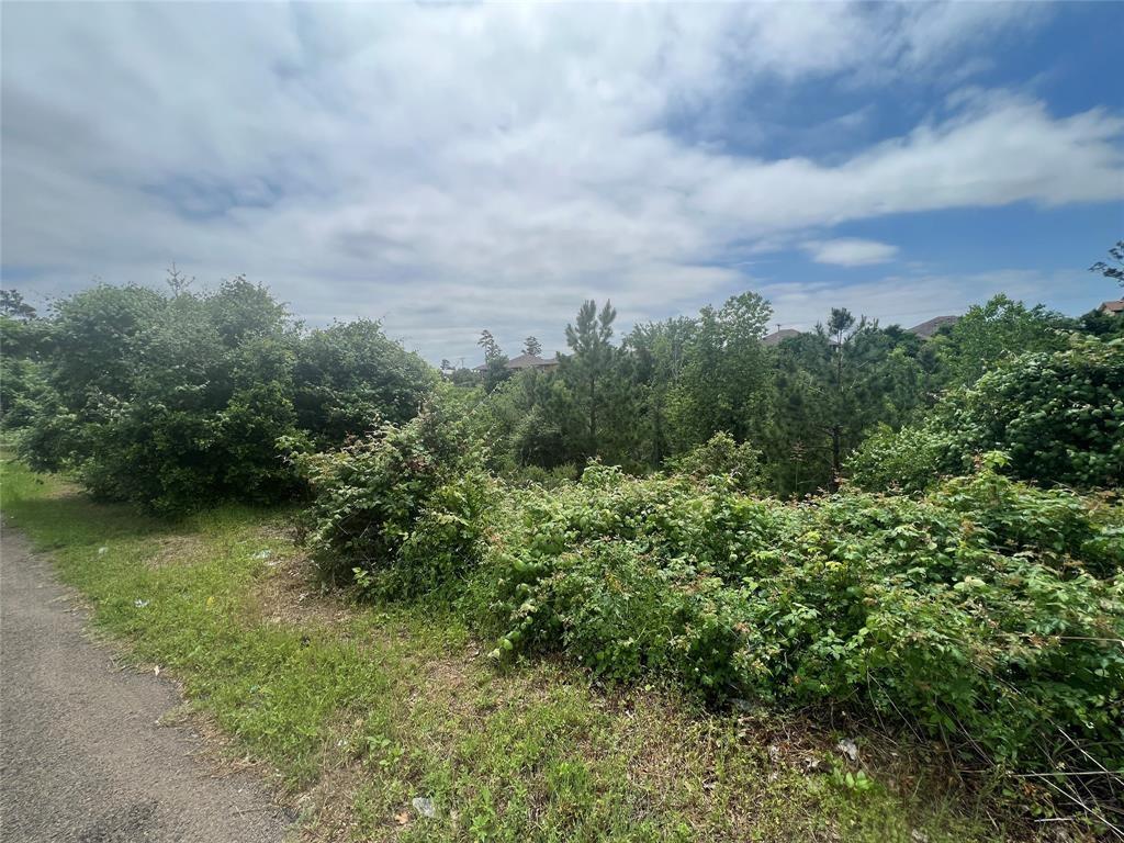 Tbdd Pahala Ct Property Photo 2