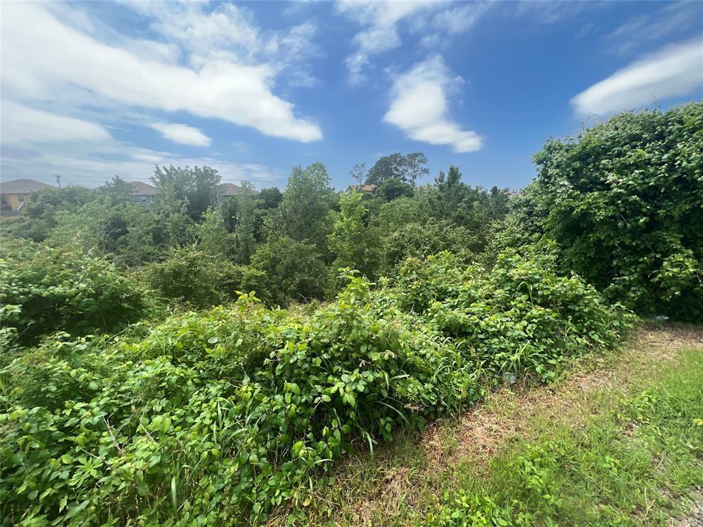 Tbdd Pahala Ct Property Photo 3