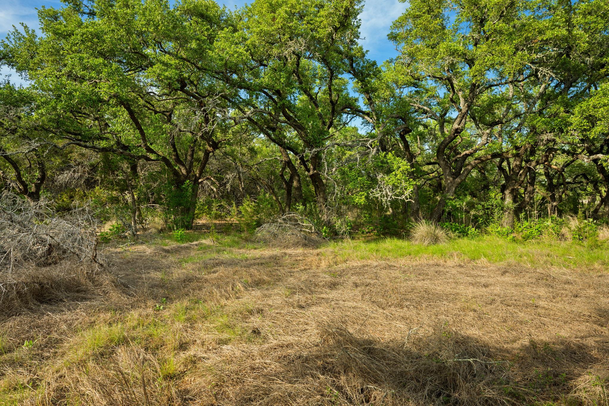 Tract 1 Esperanza Trail None Property Photo 14