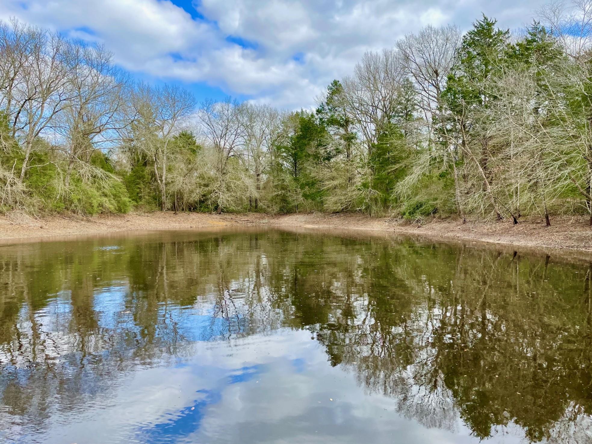 Leon County Real Estate Listings Main Image