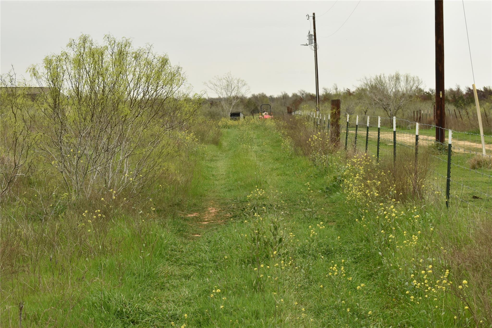 Tbd Anderson Ln Property Photo 4