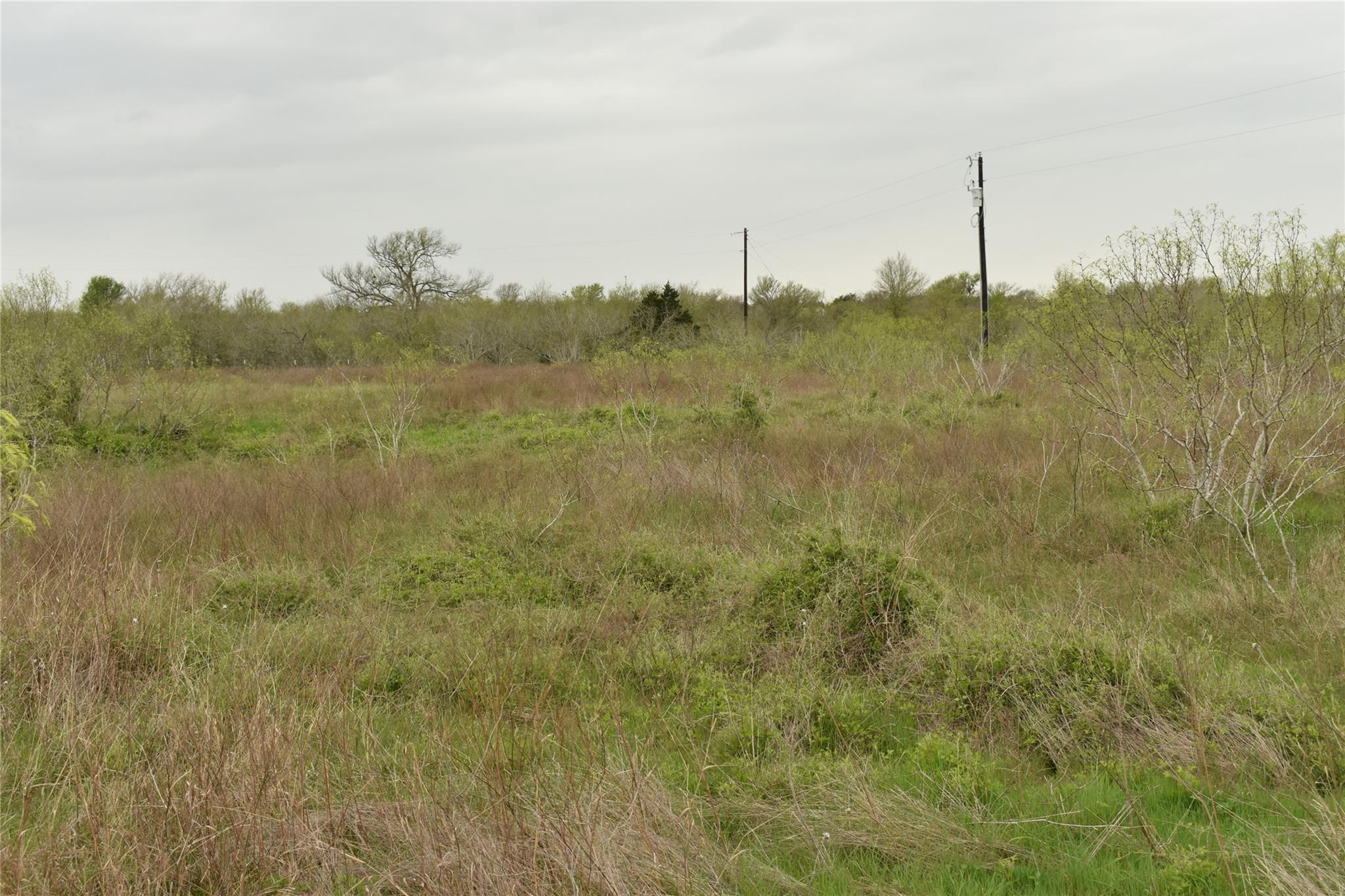 Tbd Anderson Ln Property Photo 5