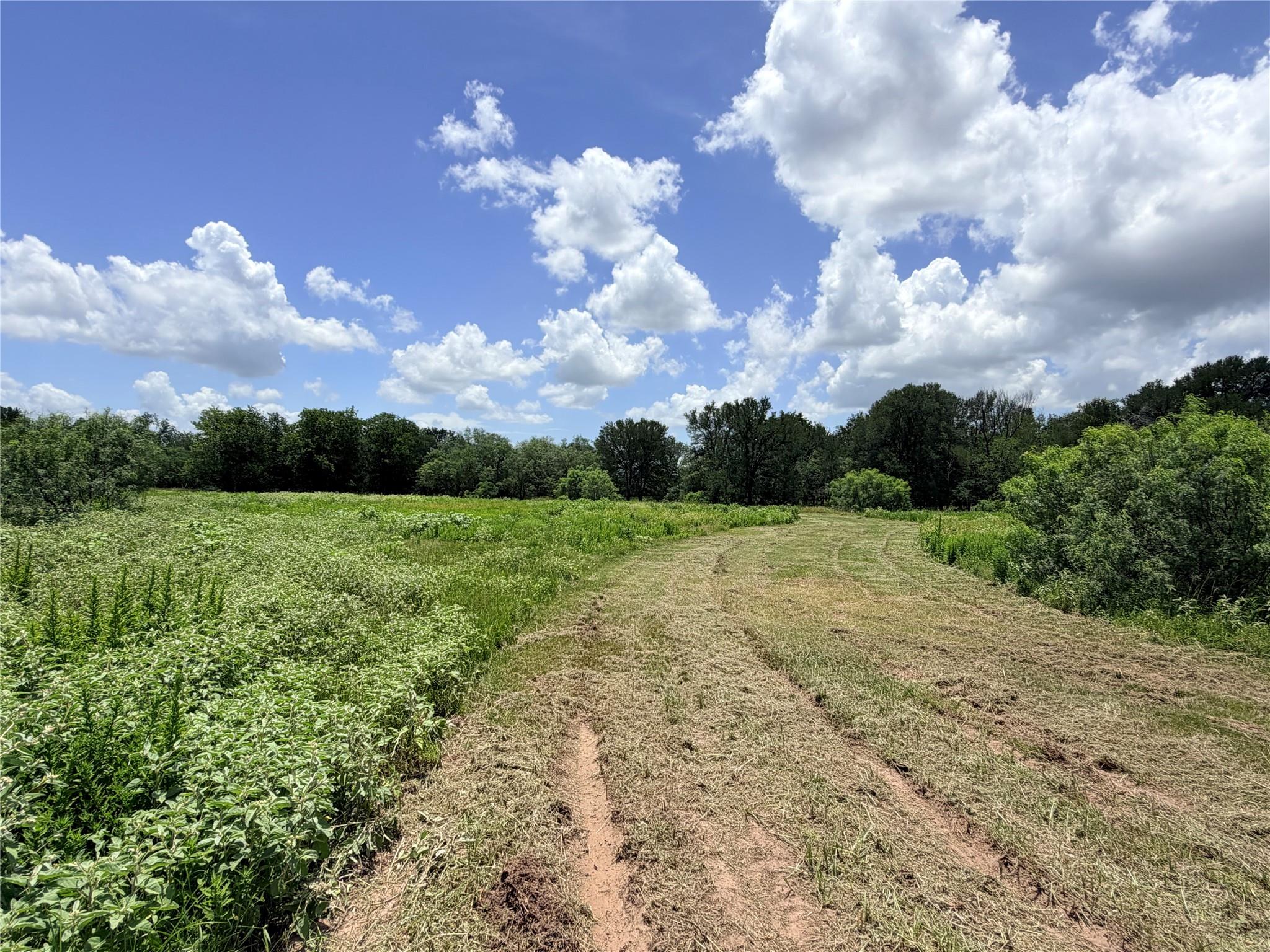 Tbd Fm 86 Tract 7 Hwy Property Photo 4