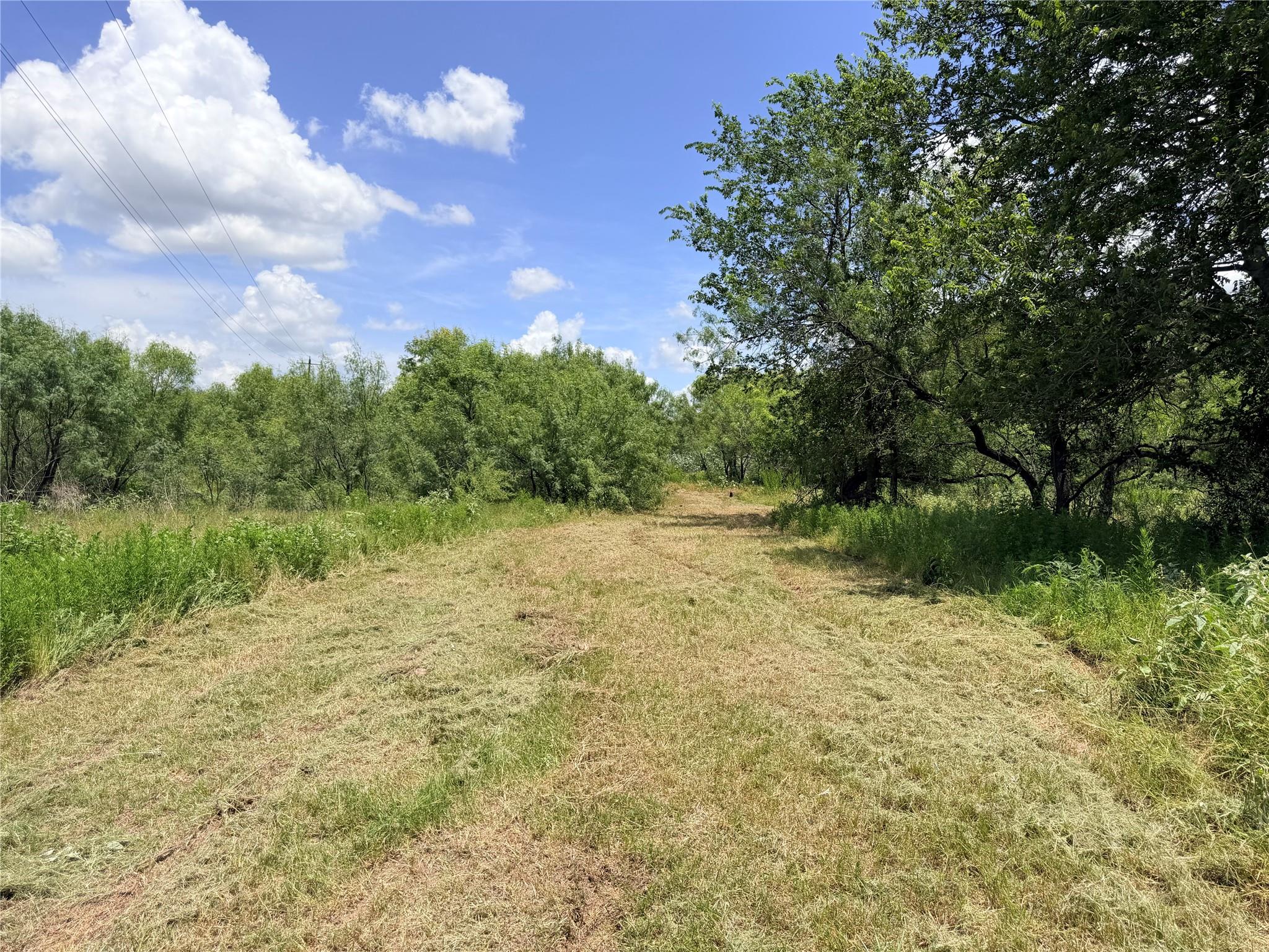 Tbd Fm 86 Tract 7 Hwy Property Photo 6