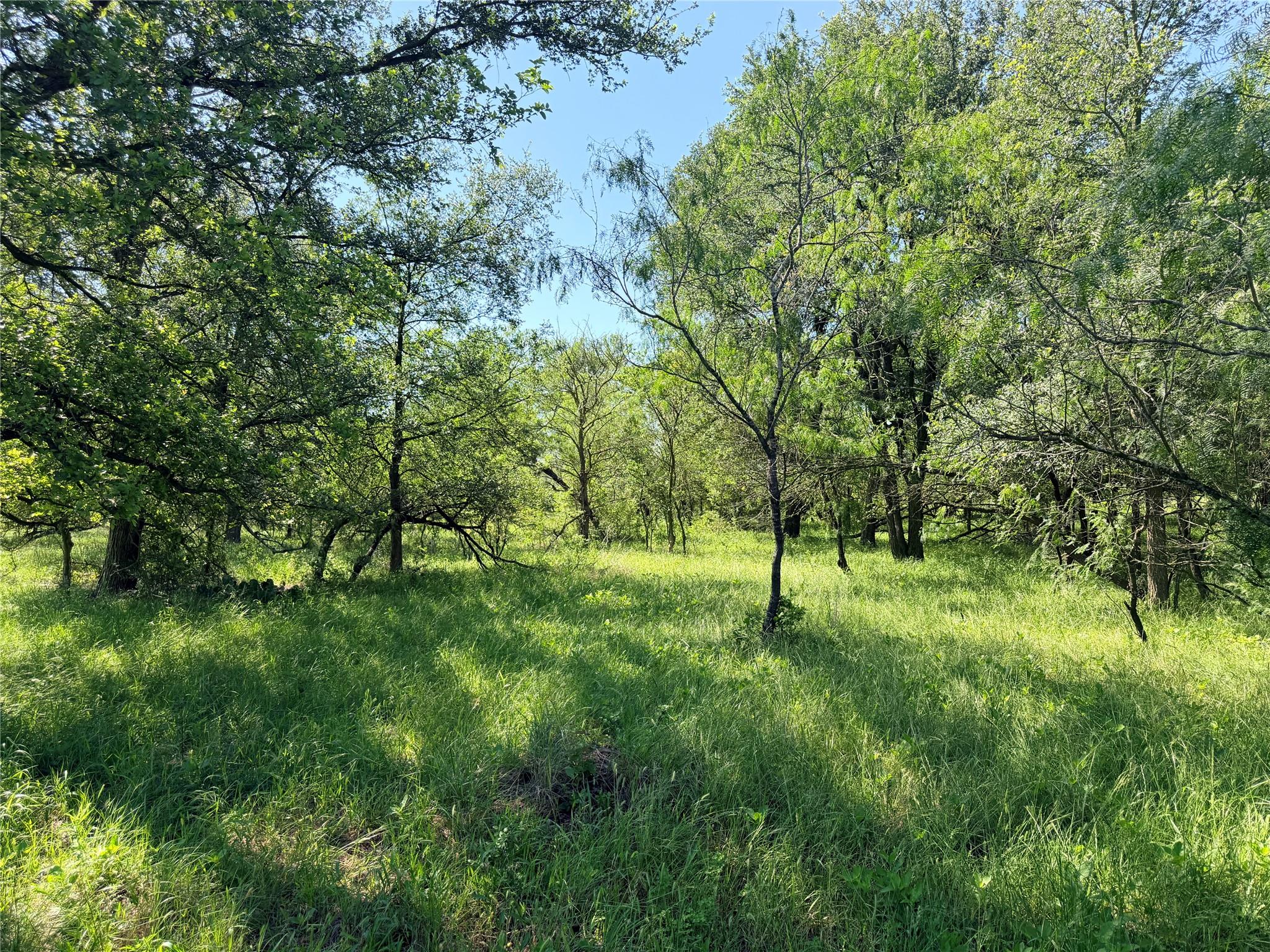 Tbd Fm 86 Tract 7 Hwy Property Photo 9