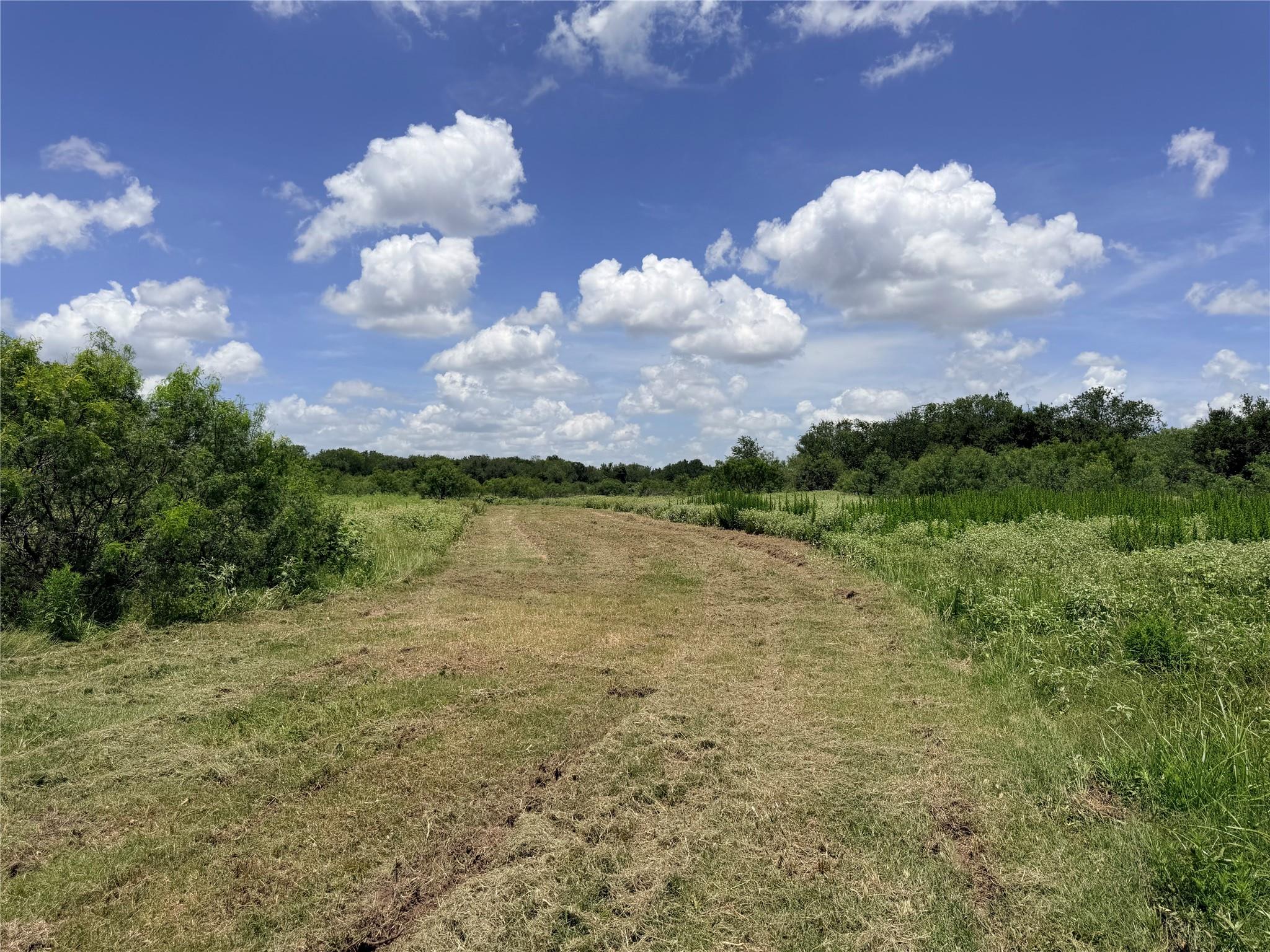 Tbd Fm 86 Tract 7 Hwy Property Photo 15