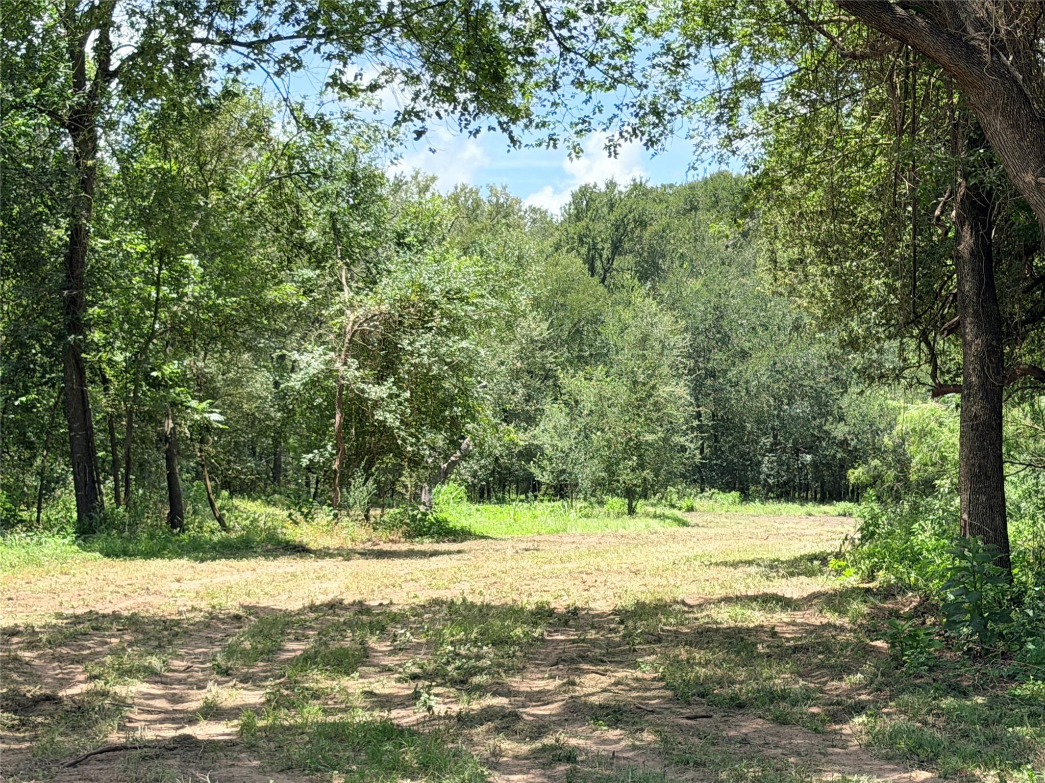 Tbd Fm 86 Tract 7 Hwy Property Photo 18