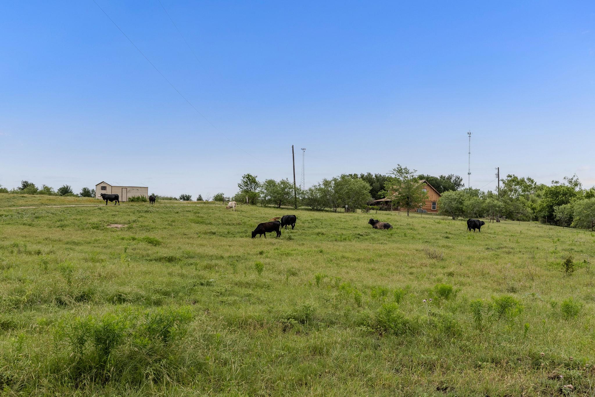 51 County Road 436 None Property Photo 18