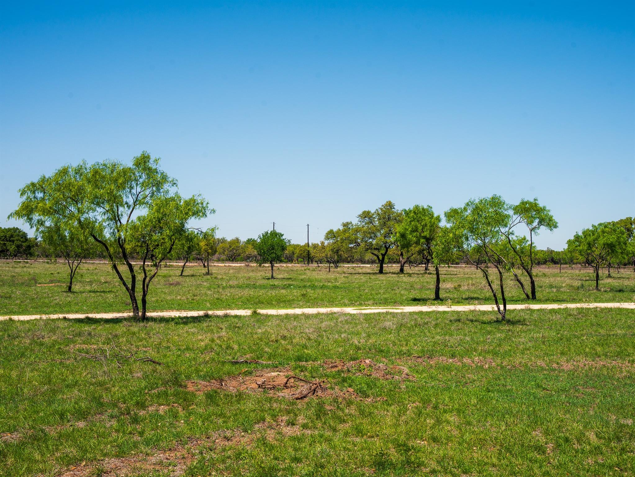 Tbd Springwood Ranch Property Photo 2