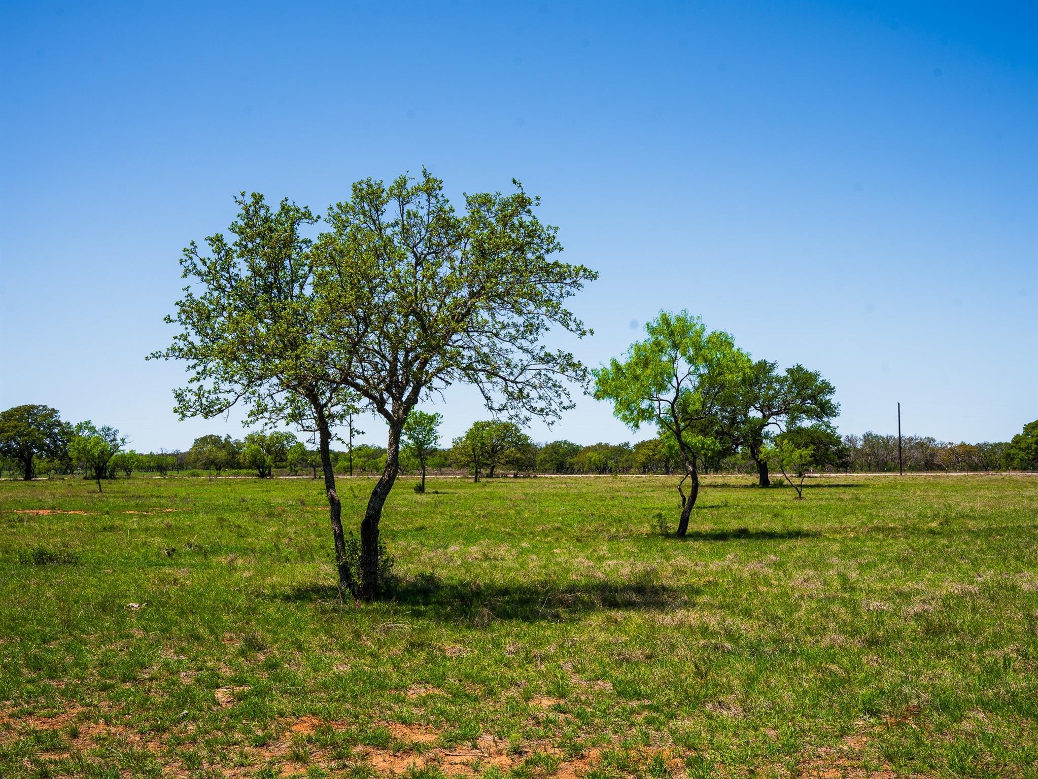 Tbd Springwood Ranch Property Photo 4