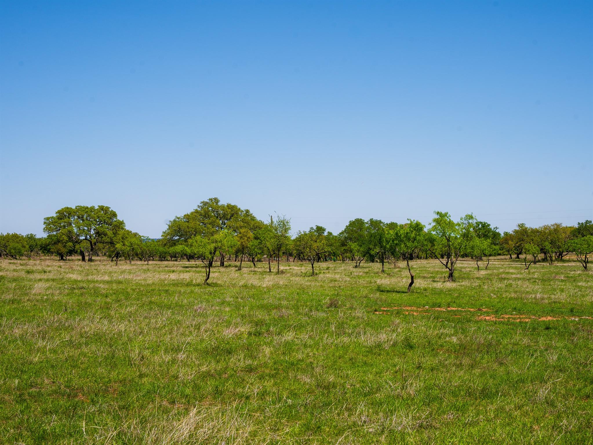 Tbd Springwood Ranch Property Photo 8