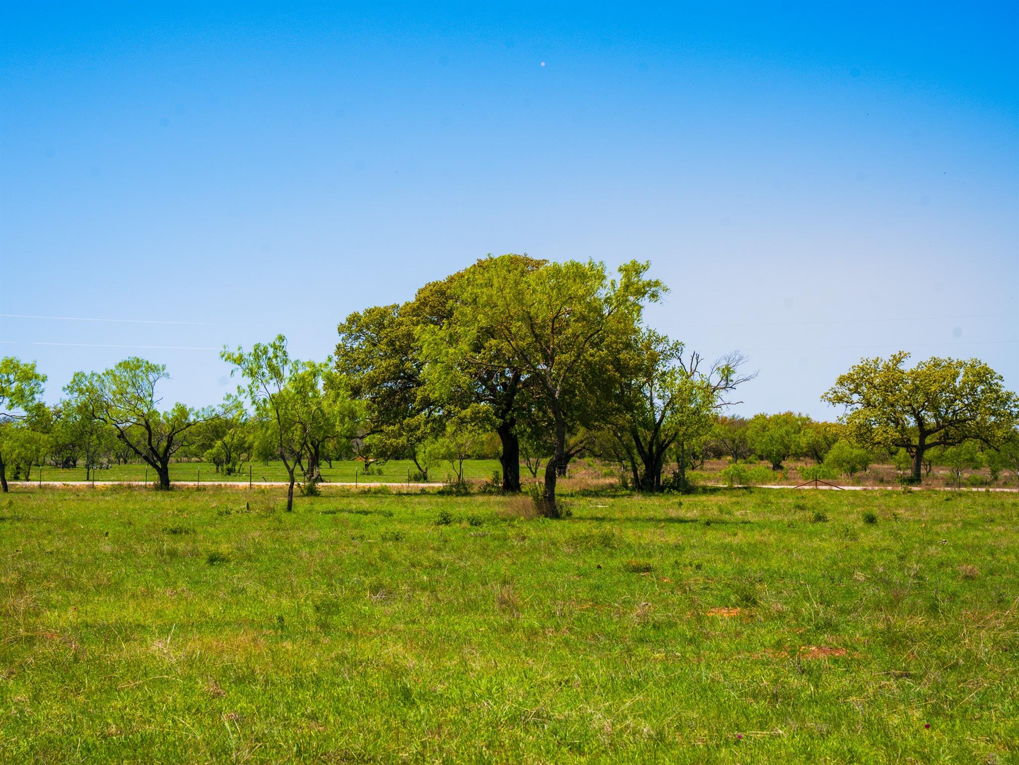 Tbd Springwood Ranch Property Photo 9
