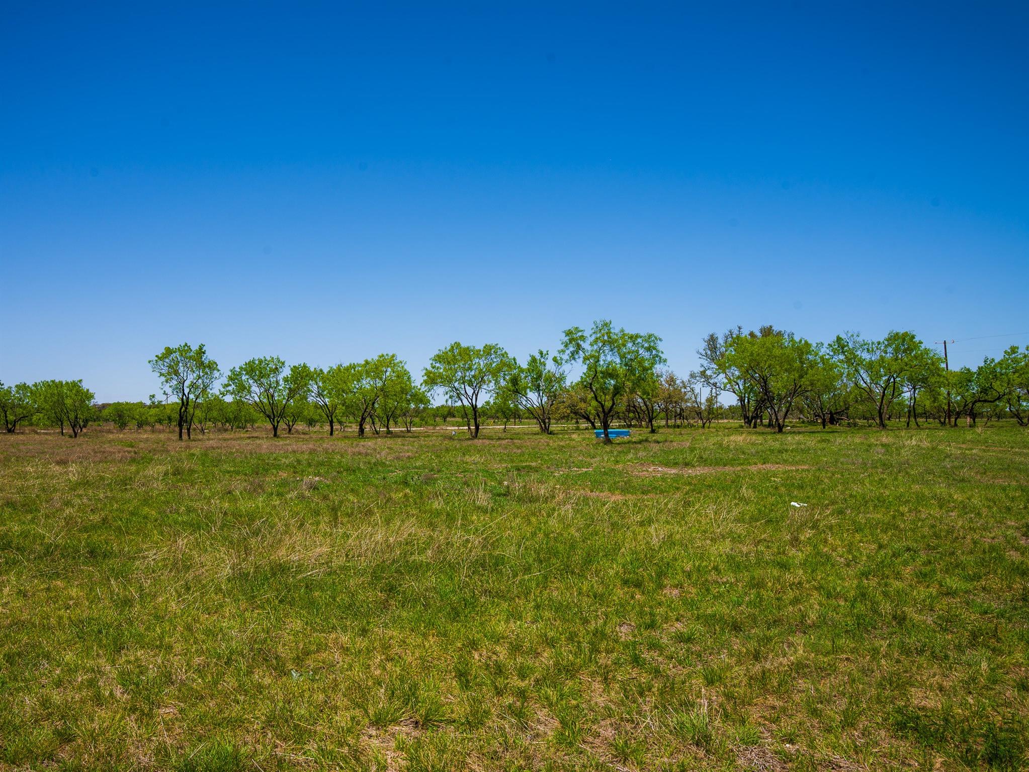 Tbd Springwood Ranch Property Photo 11