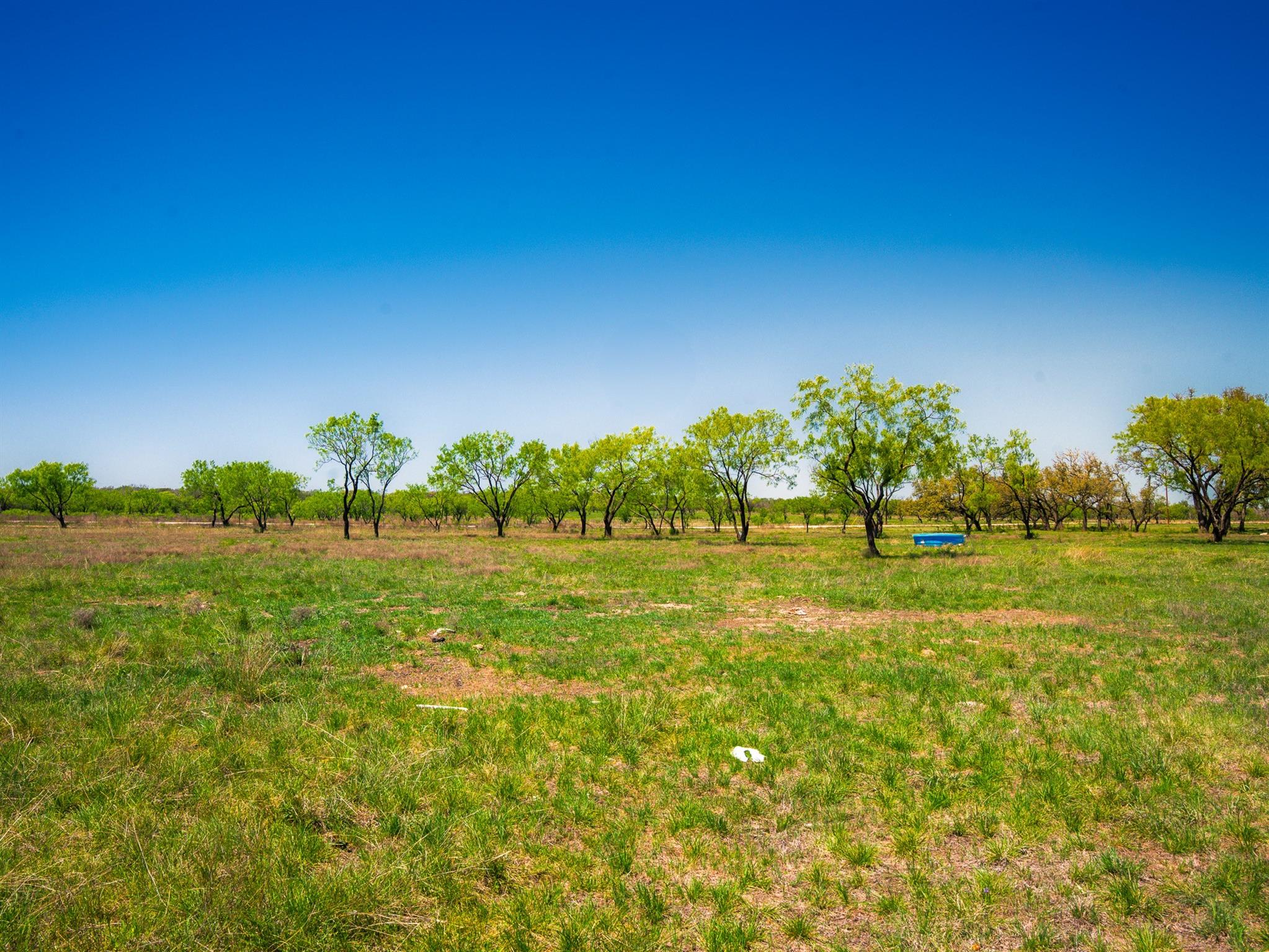 Tbd Springwood Ranch Property Photo 12