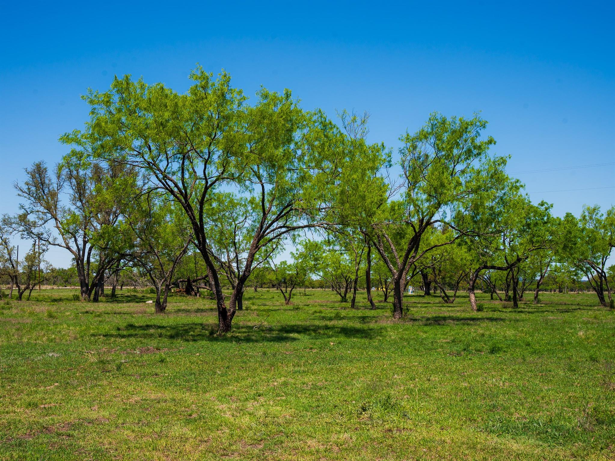 Tbd Springwood Ranch Property Photo 14