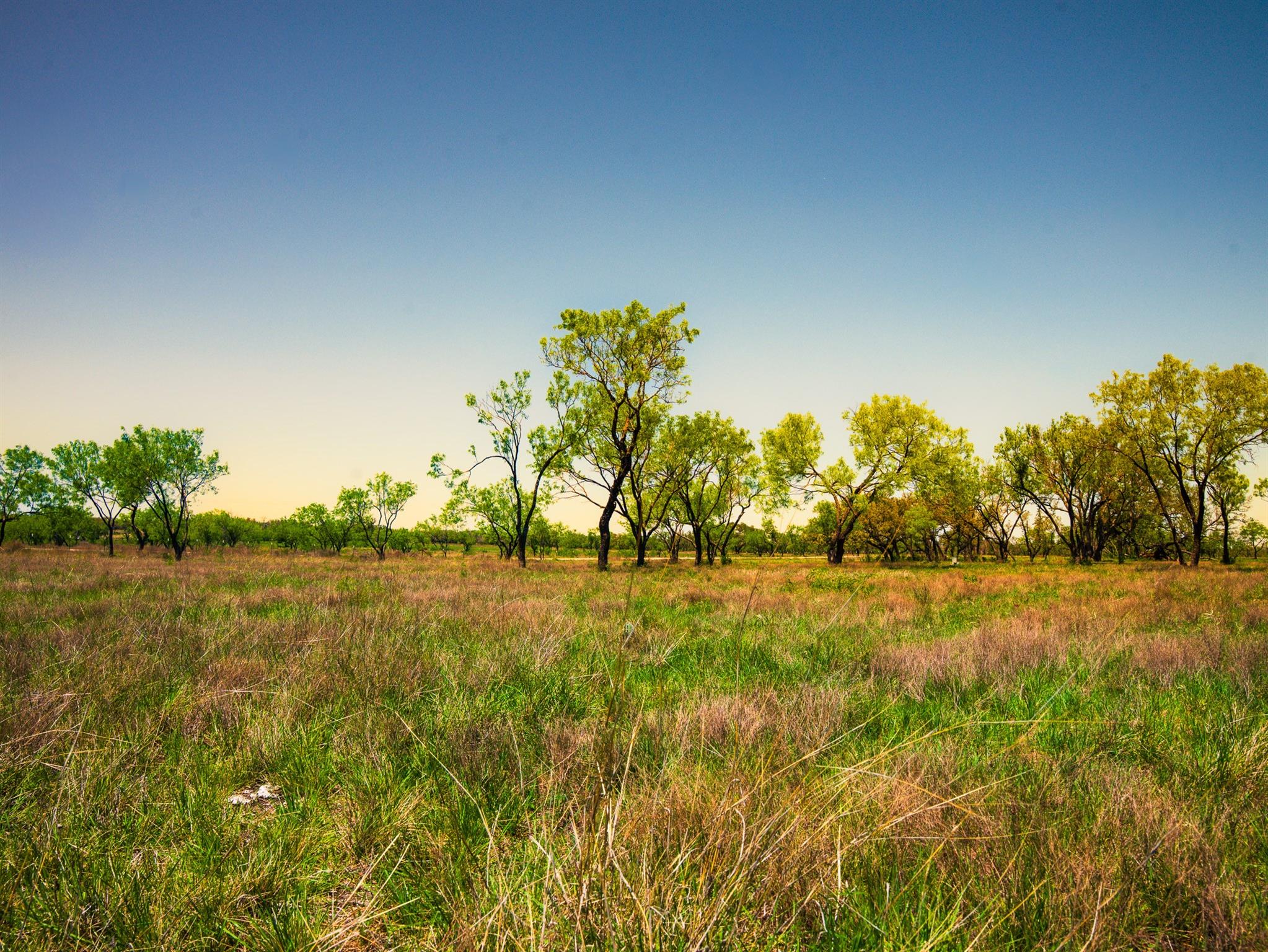 Tbd Springwood Ranch Property Photo 17