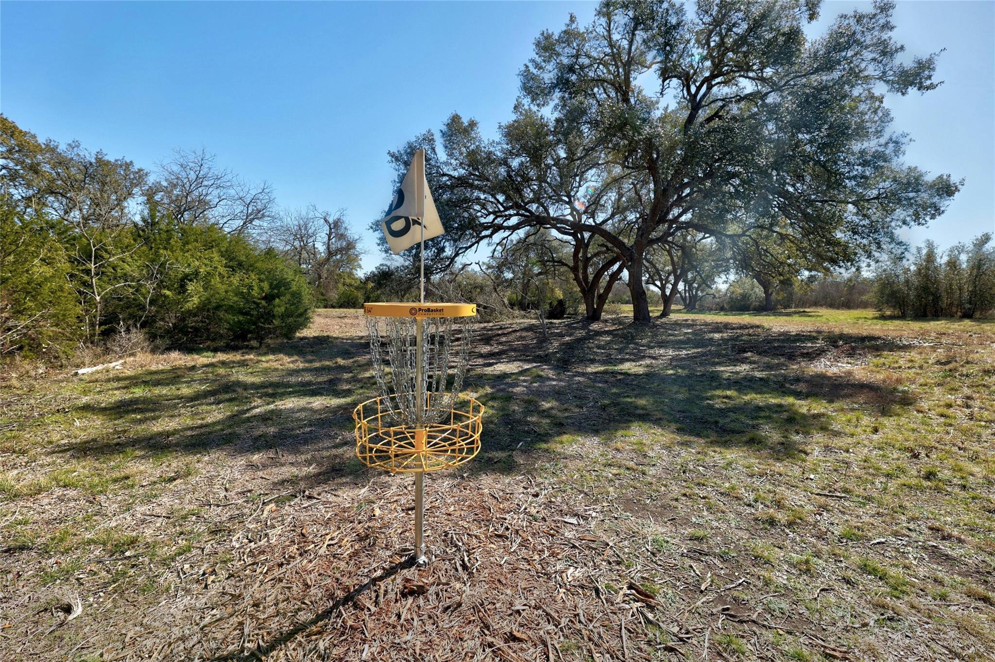 324 Brenham Pass Property Photo 39