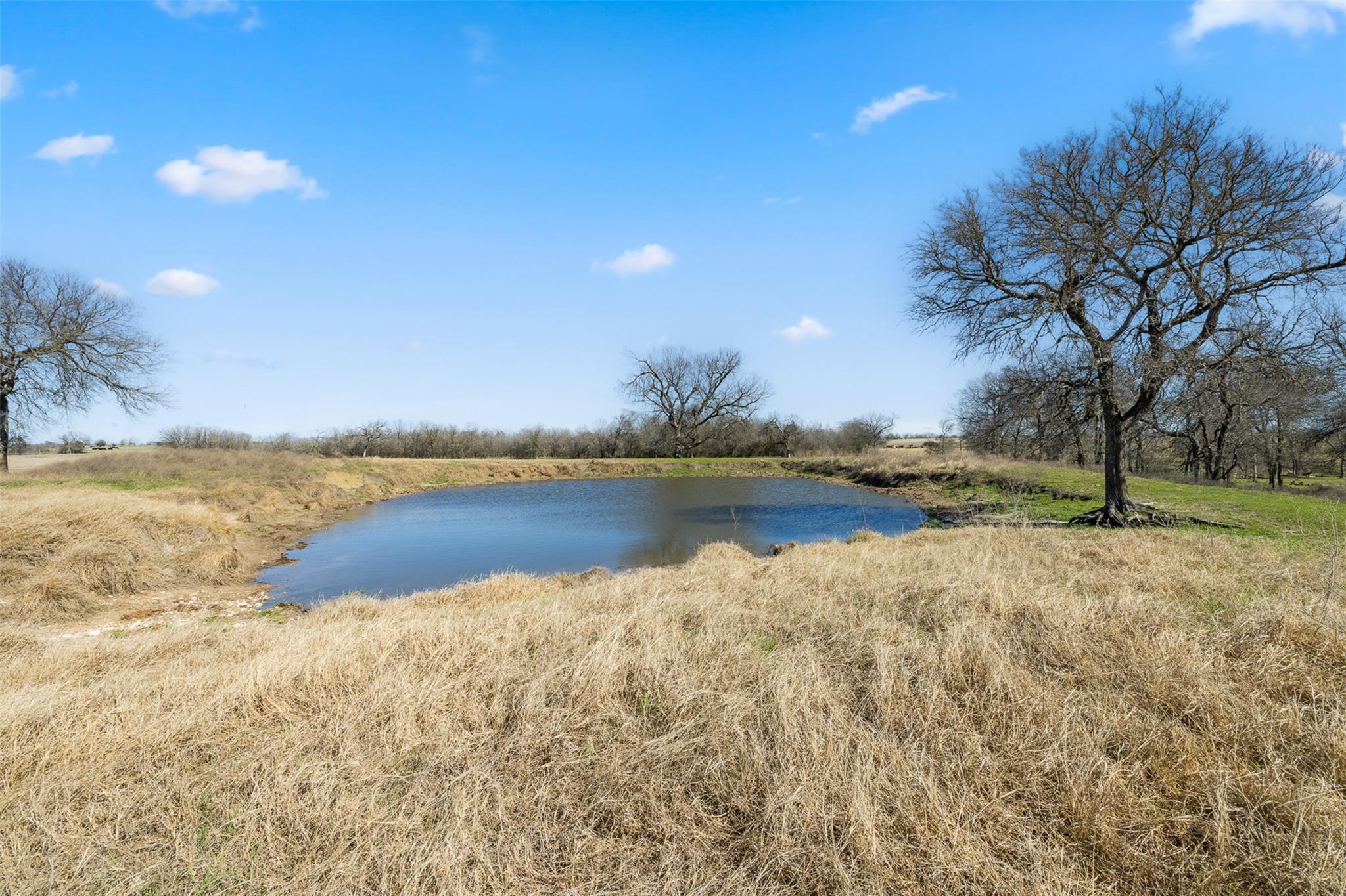 18222 N Fm 486 Property Photo 11