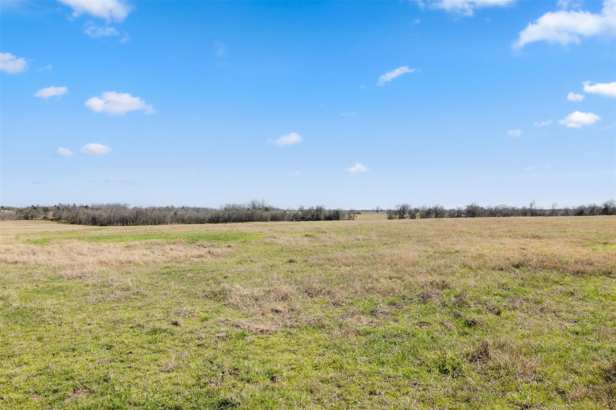18222 N Fm 486 Property Photo 13