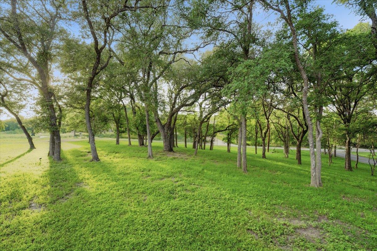 7138568 Property Photo 39