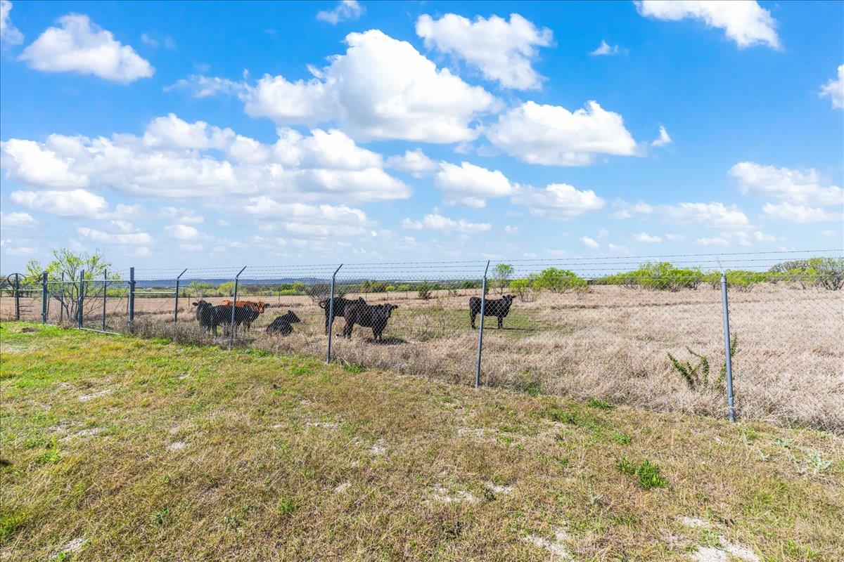 300 County Road 407 None Property Photo 30