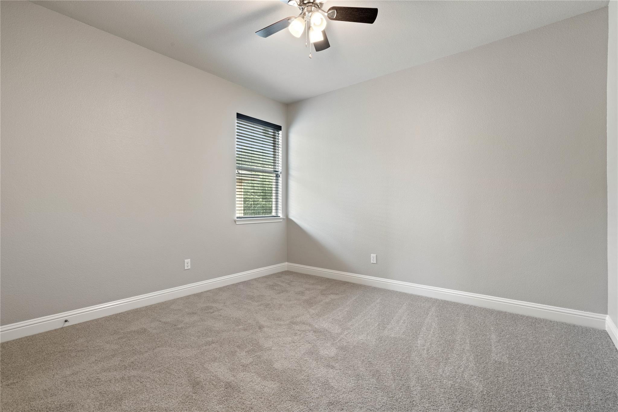 5009 Mandevilla Dr Property Photo 28