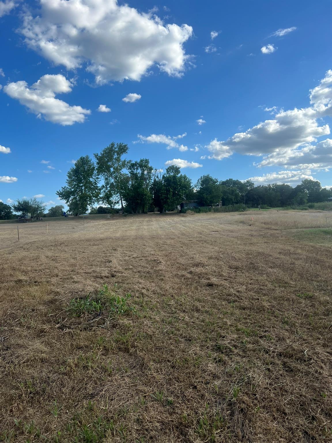 7147673 Property Photo 11