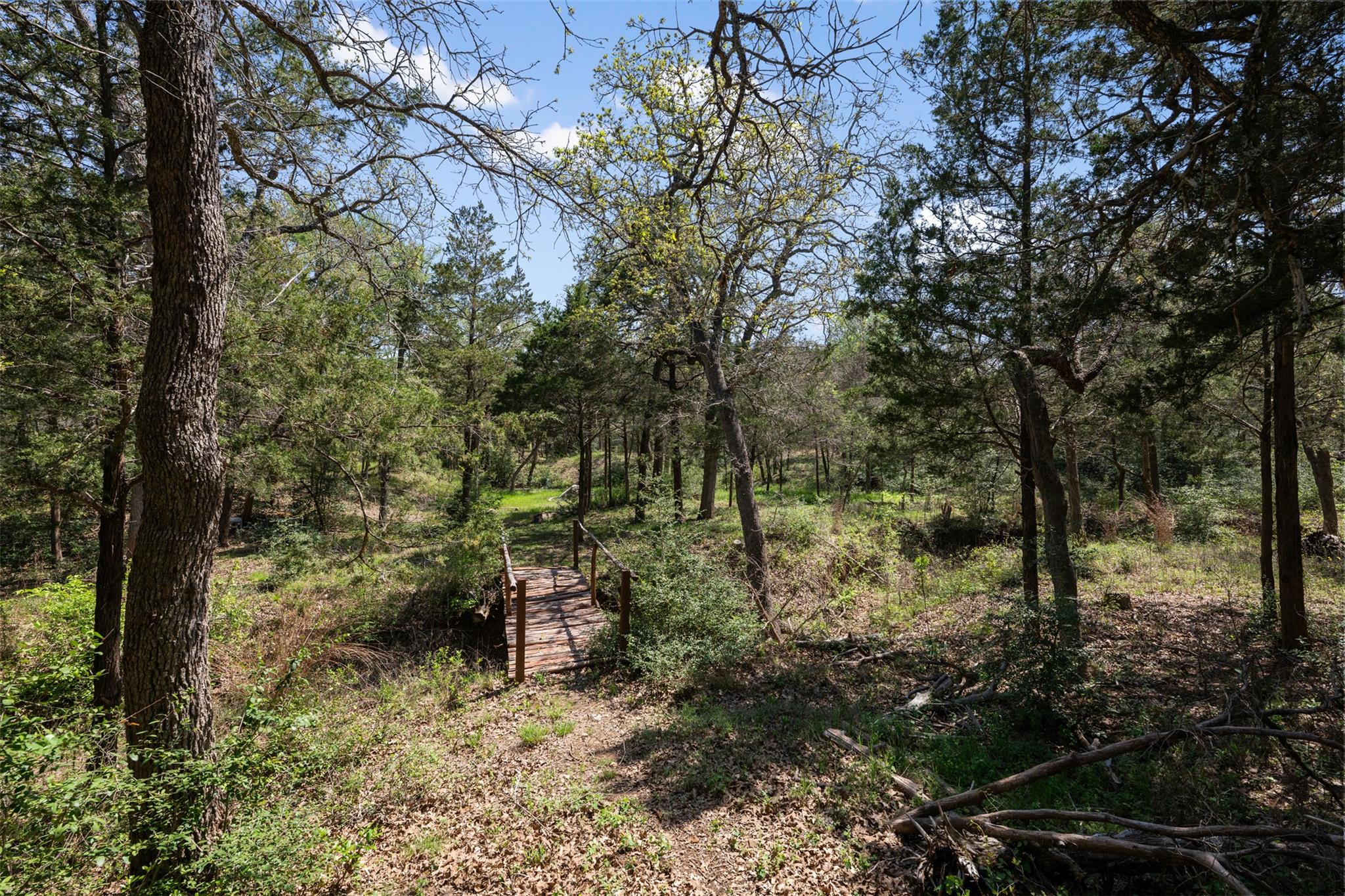 133 Deep Woods Ct Property Photo 7