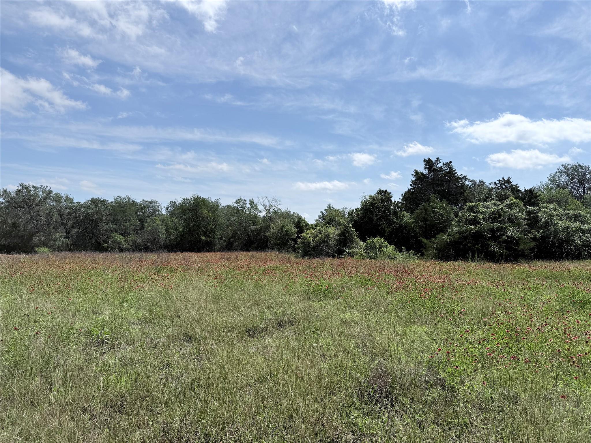 1880 Fm 2571 None Property Photo 4